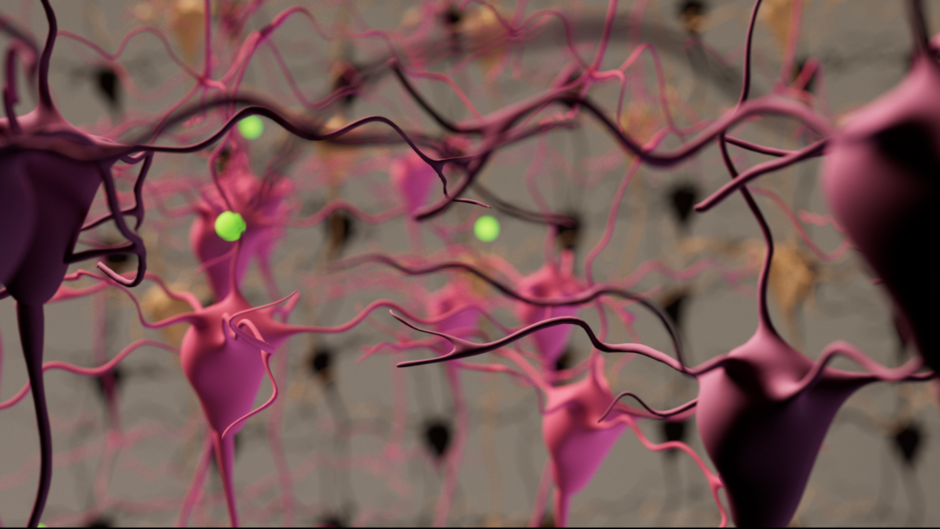 3D Animation