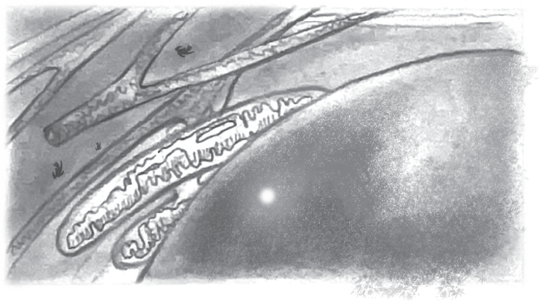 Etiomedart ThesisStoryboardScene_Asset 7@300x.png