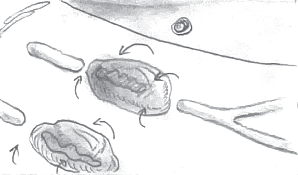 Etiomedart ThesisStoryboardScene_Asset 9@300x.png
