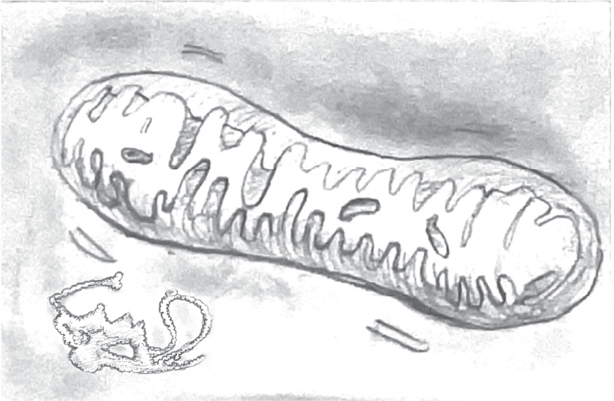 Etiomedart ThesisStoryboardScene_Asset 3@300x.png