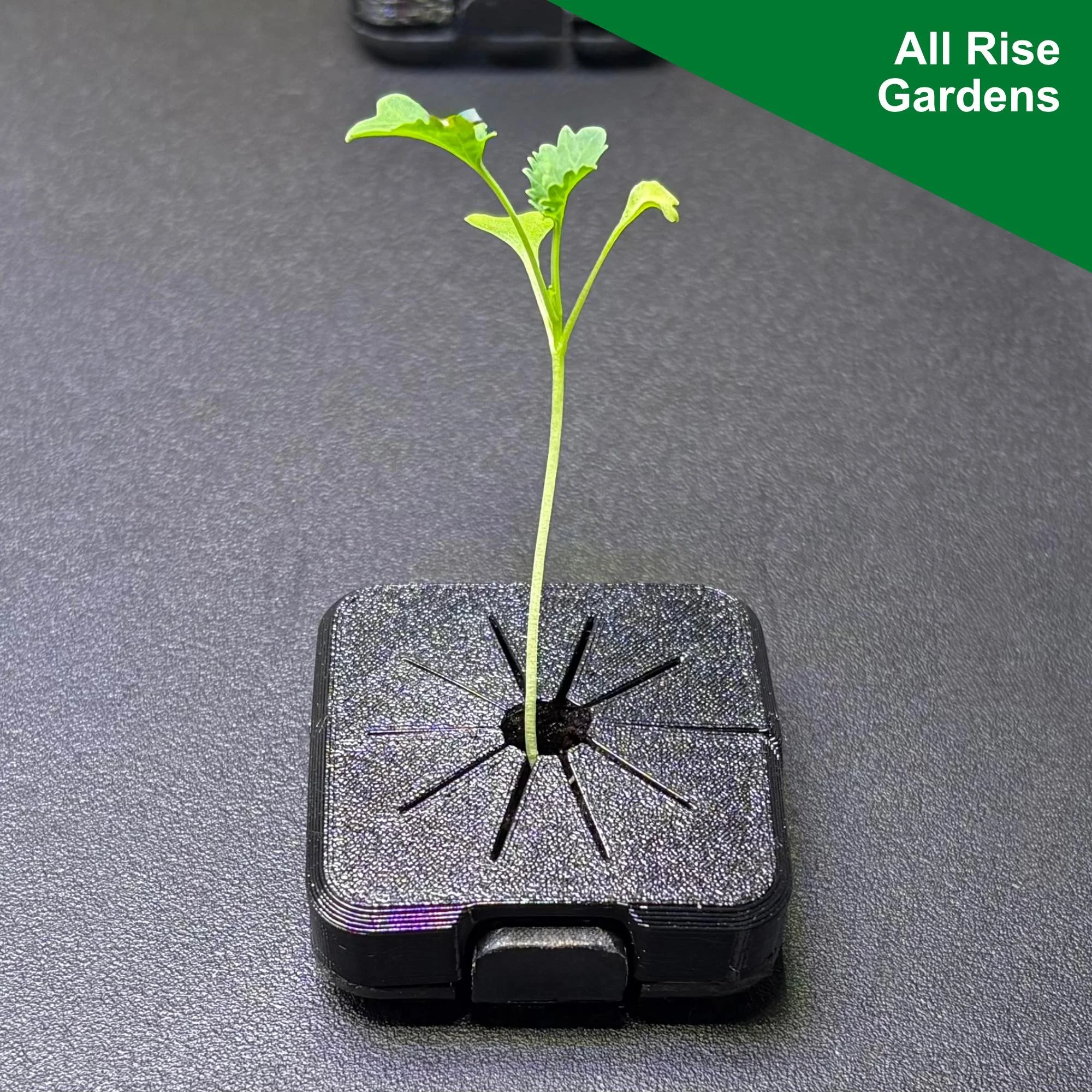 Net Cup Covers for Rise Gardens