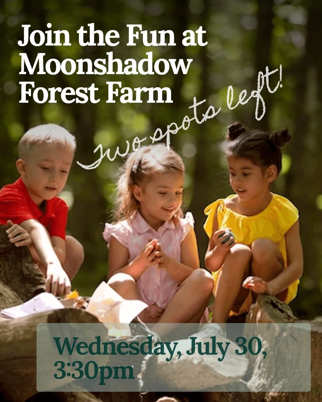 Join us at Moonshadow Forest Farm for the final session of our July Wednesday Wander series. Only 2 spots left for this week's session focused on trees and birds! 🐦🌳🌿Sign up at the link in bio. 

If you couldn't make it this month, our August seri
