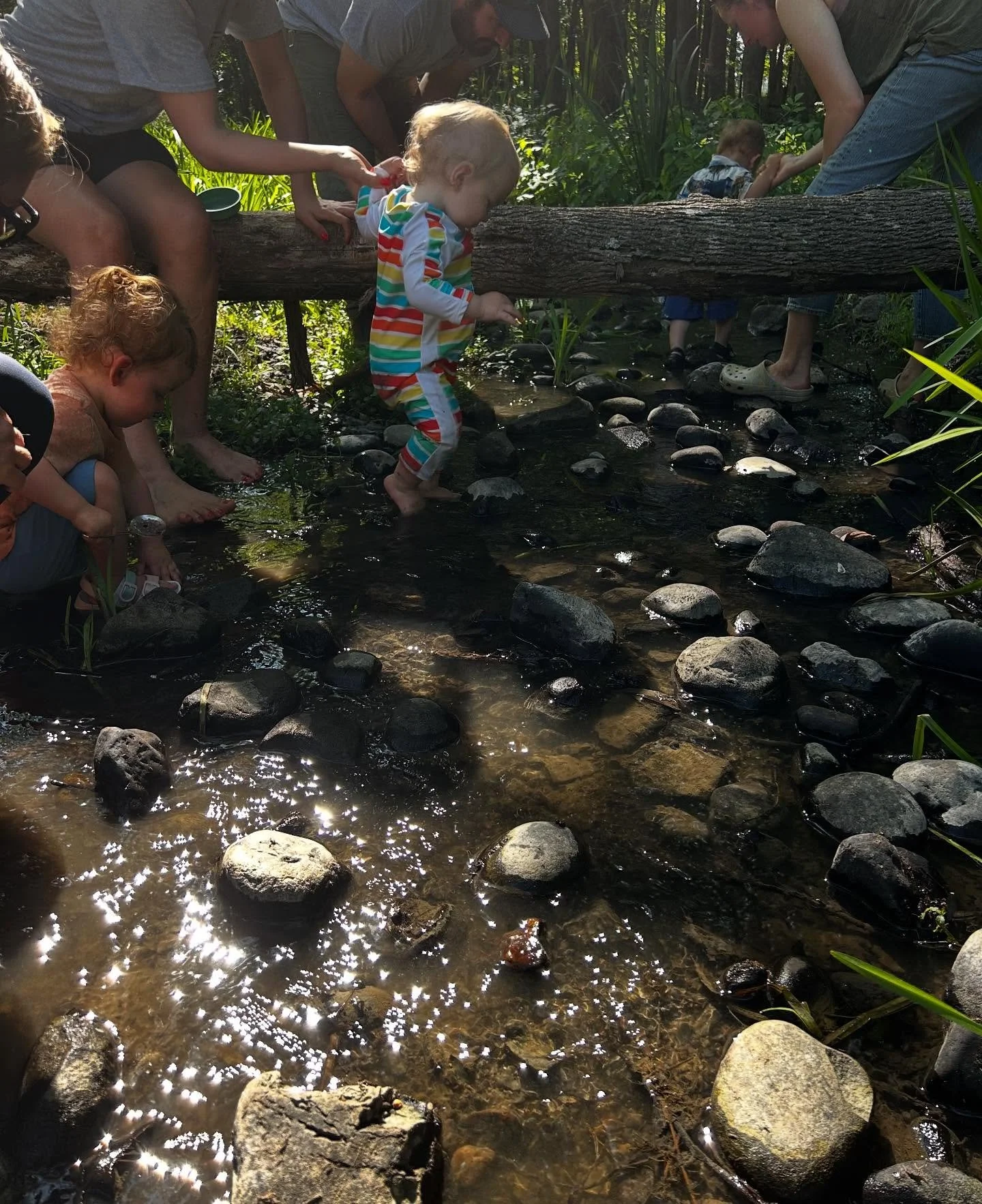 Come revel in the late Summer magic at Moonshadow Forest Farm! There are still spots left for both our Baby Nature Class and our Wednesday Wander session. ✨🌳🌸 Sign up at the link in bio!