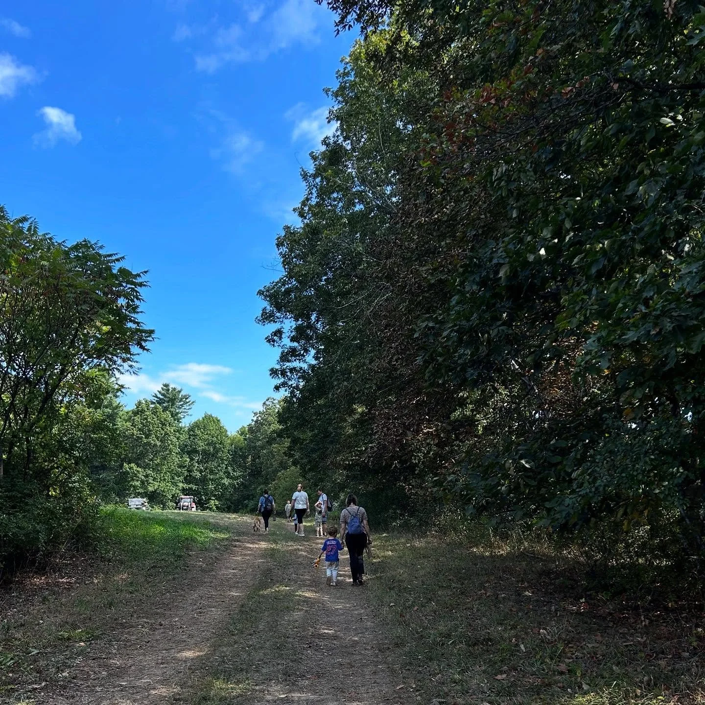 What a beautiful nature walk &amp; craft with this group of adventurous kids and their grown ups! Special thanks to @cone.zero and @hudsonfarmacy for their collaboration. We can&rsquo;t wait for the next one!