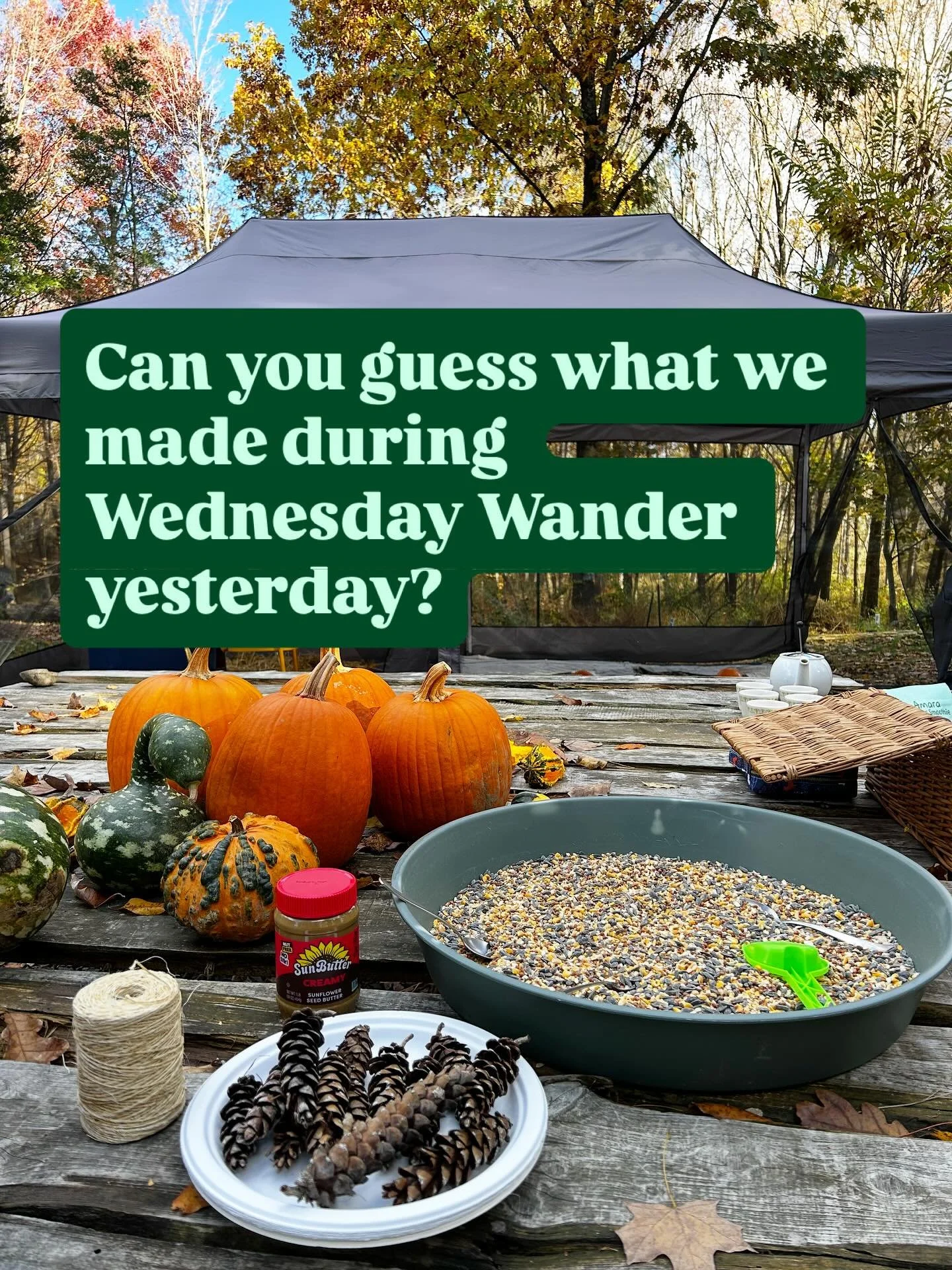 Yesterday&rsquo;s Wednesday Wander toddler group was a true delight! We have one last session next Wednesday before we take a pause during the colder weather. There are still spots available, so join us for the final session of the year! #wednesdaywa
