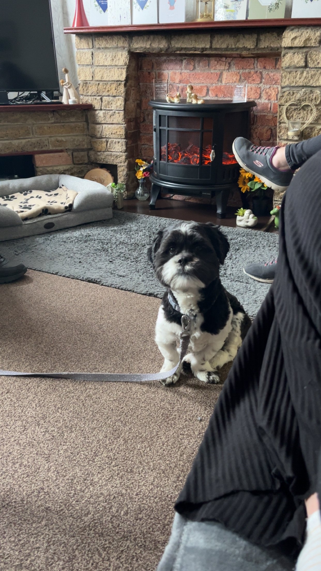 IMG_3510.jpeg