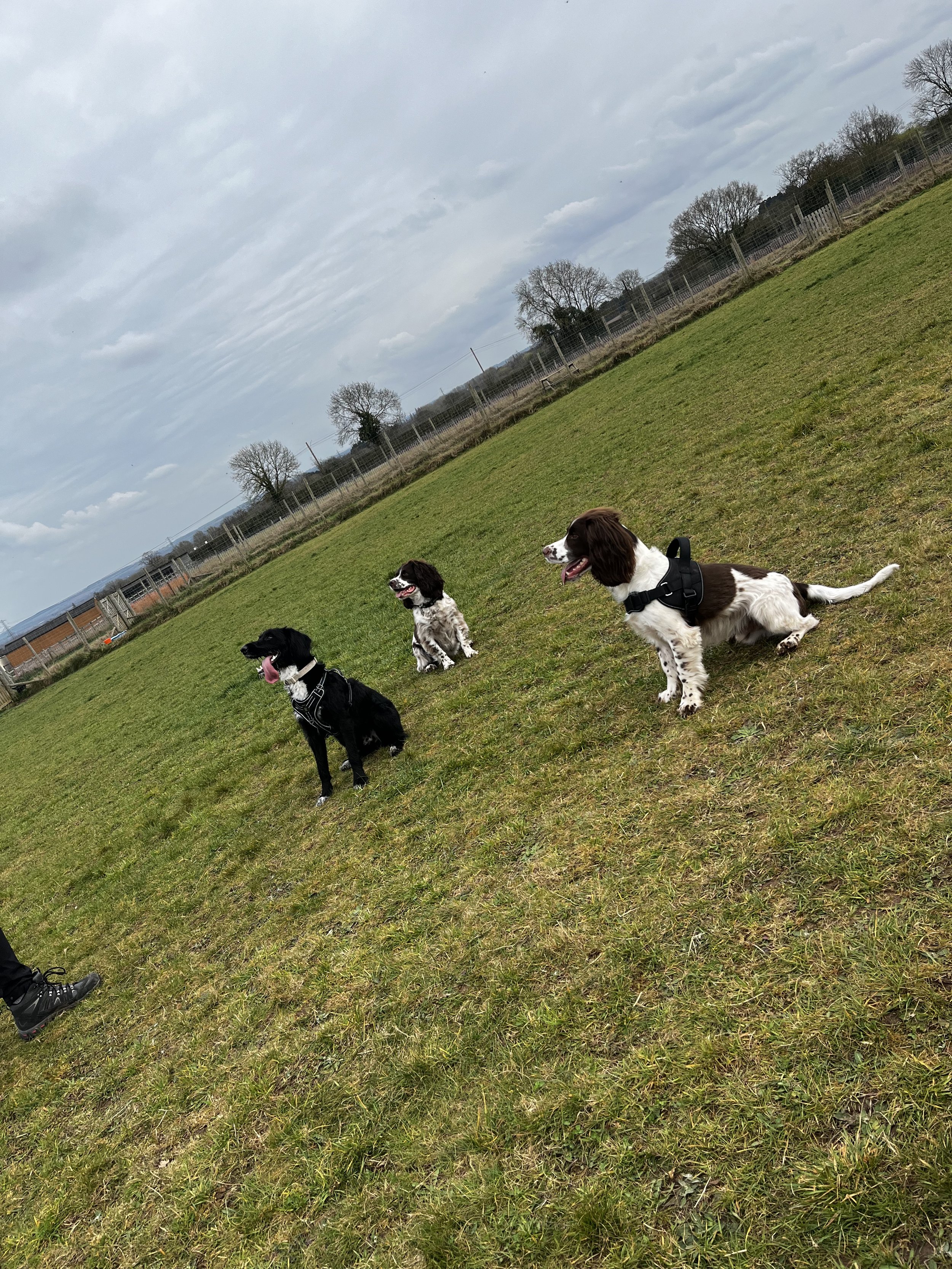 1-Hour Group Walk