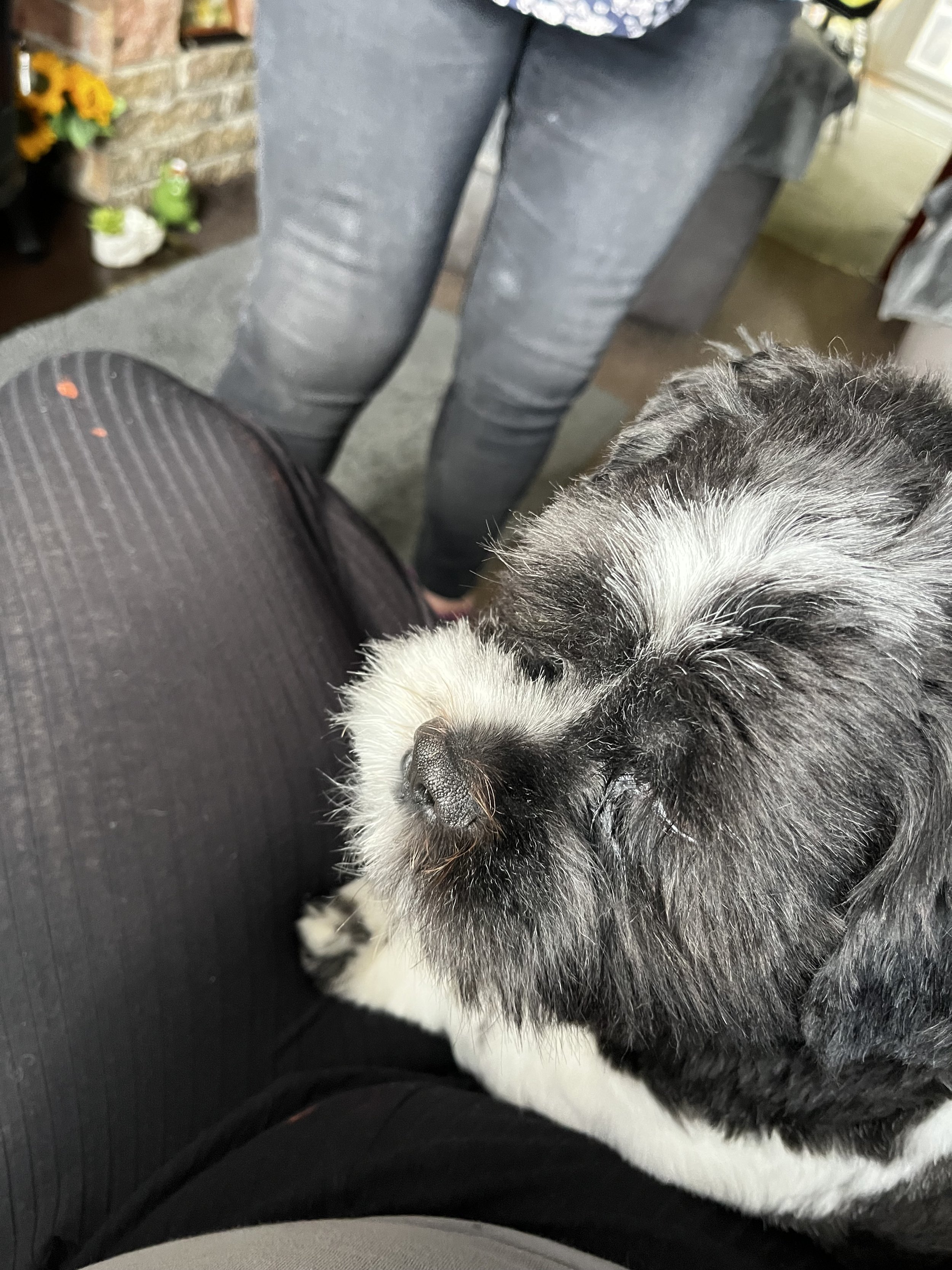 IMG_3543.jpeg