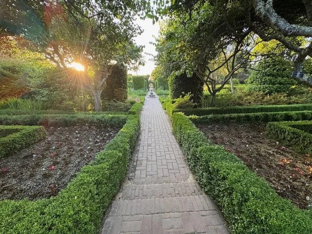 Why Risky Play Matters: Supporting Healthy Childhood Development