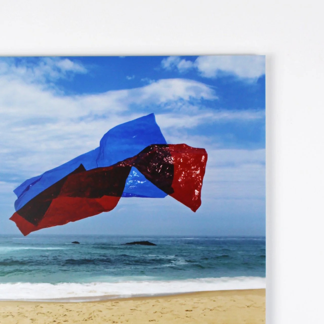 Gijs van den Berg - rood_blauw plastic 2.jpg