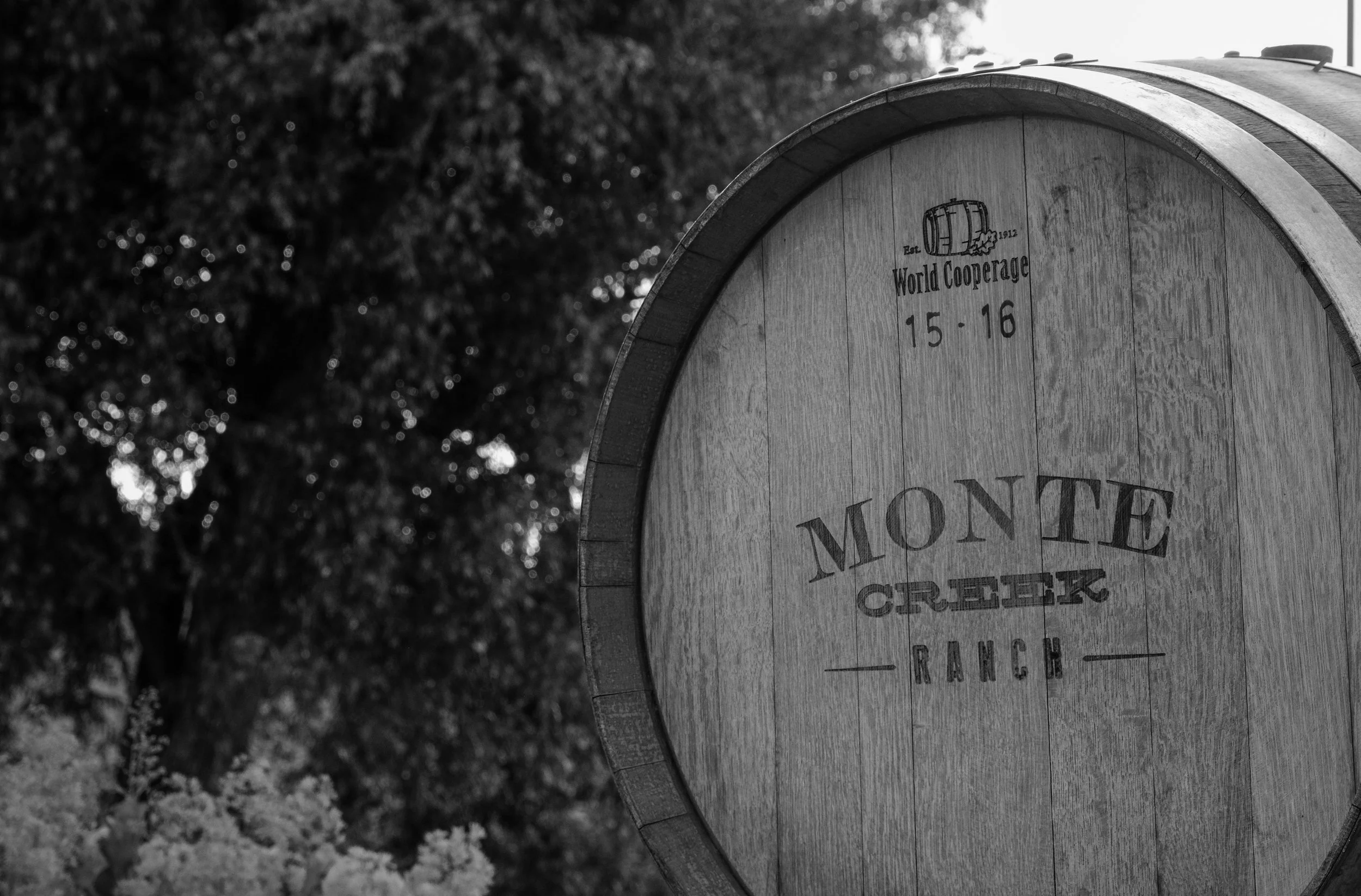 MonteCreek-37.jpg