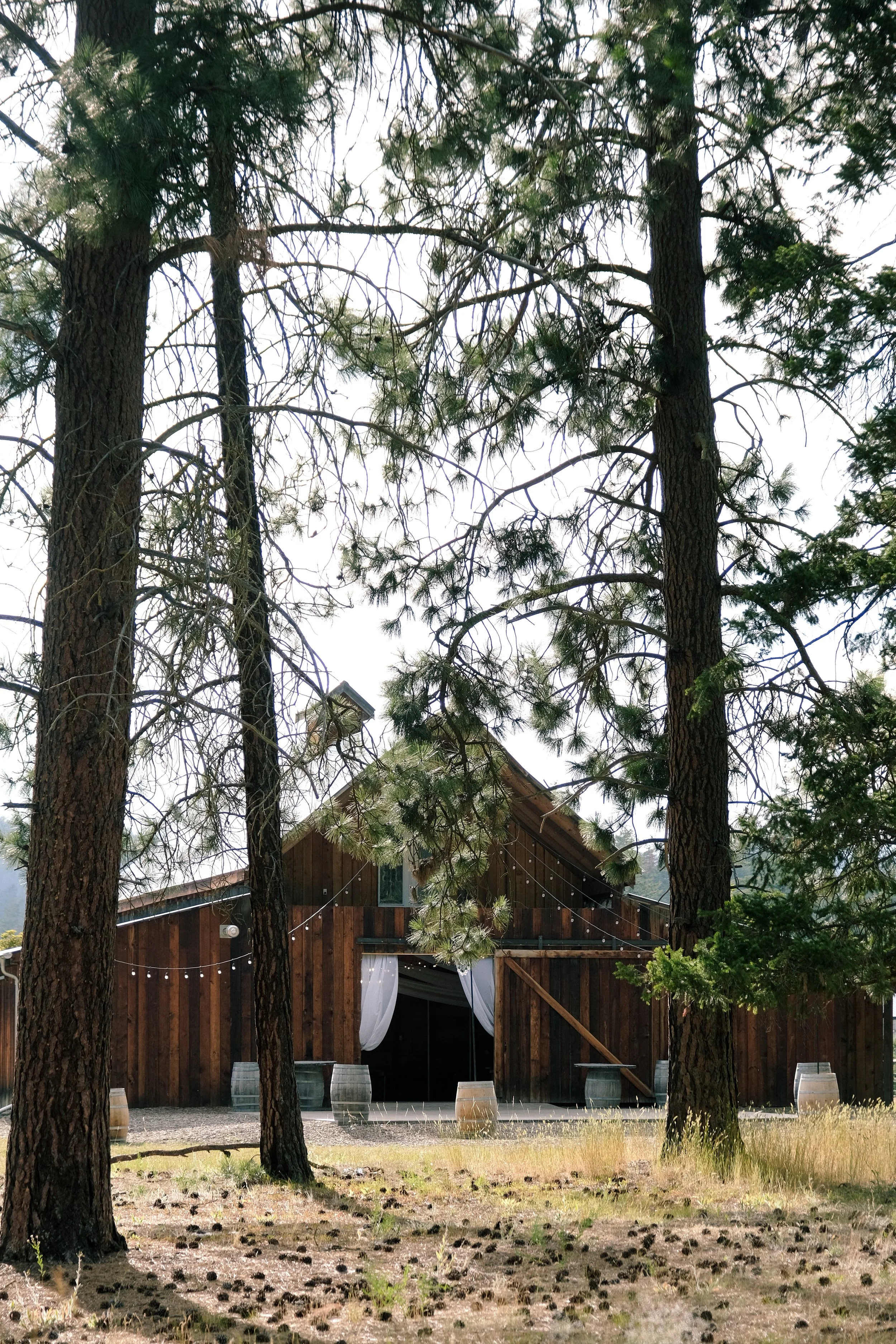 3 Things I Love About Barn 4404 - A Wedding Venue In Armstrong BC