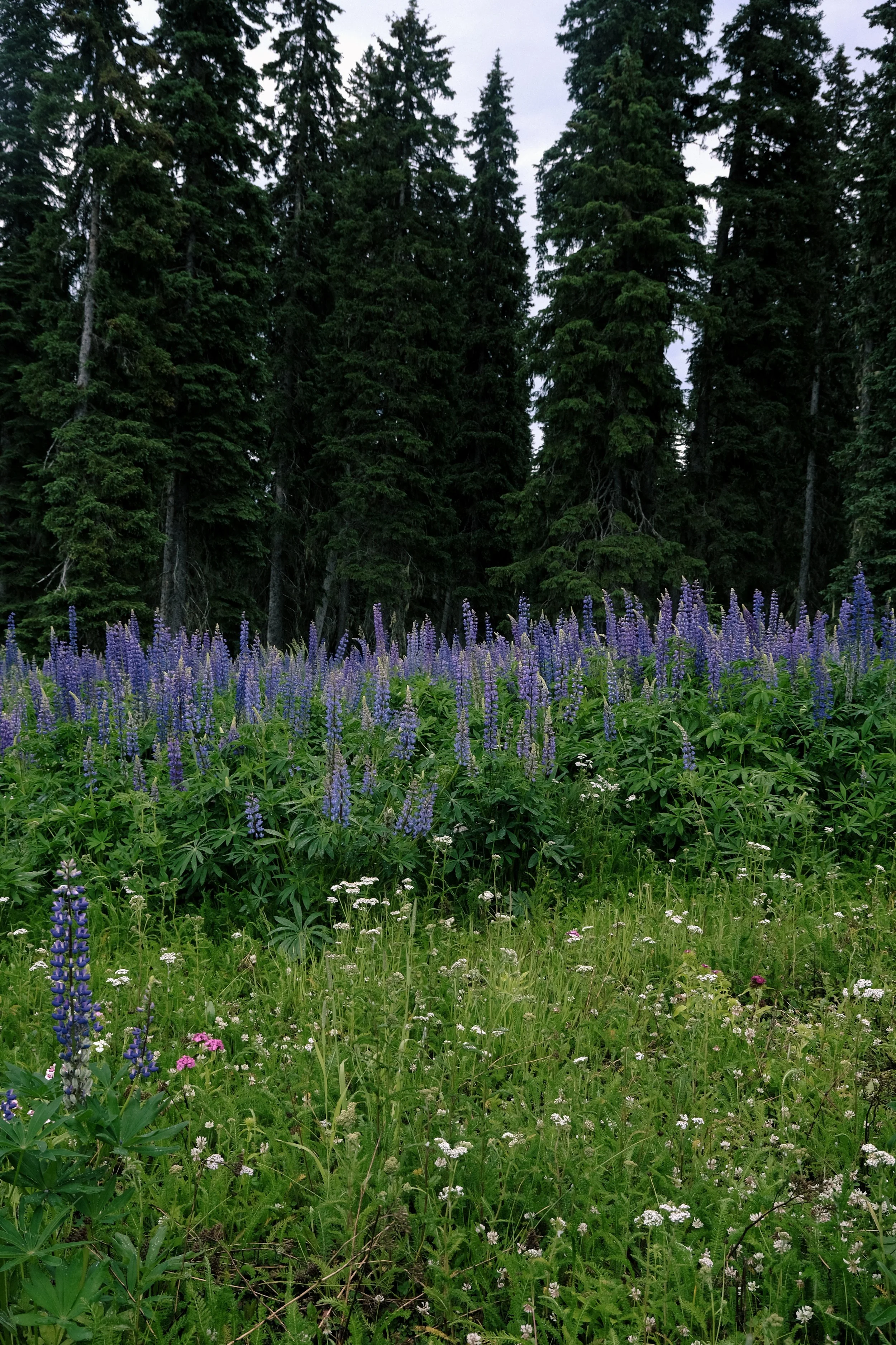 KeeferLakeLodge-8.jpg