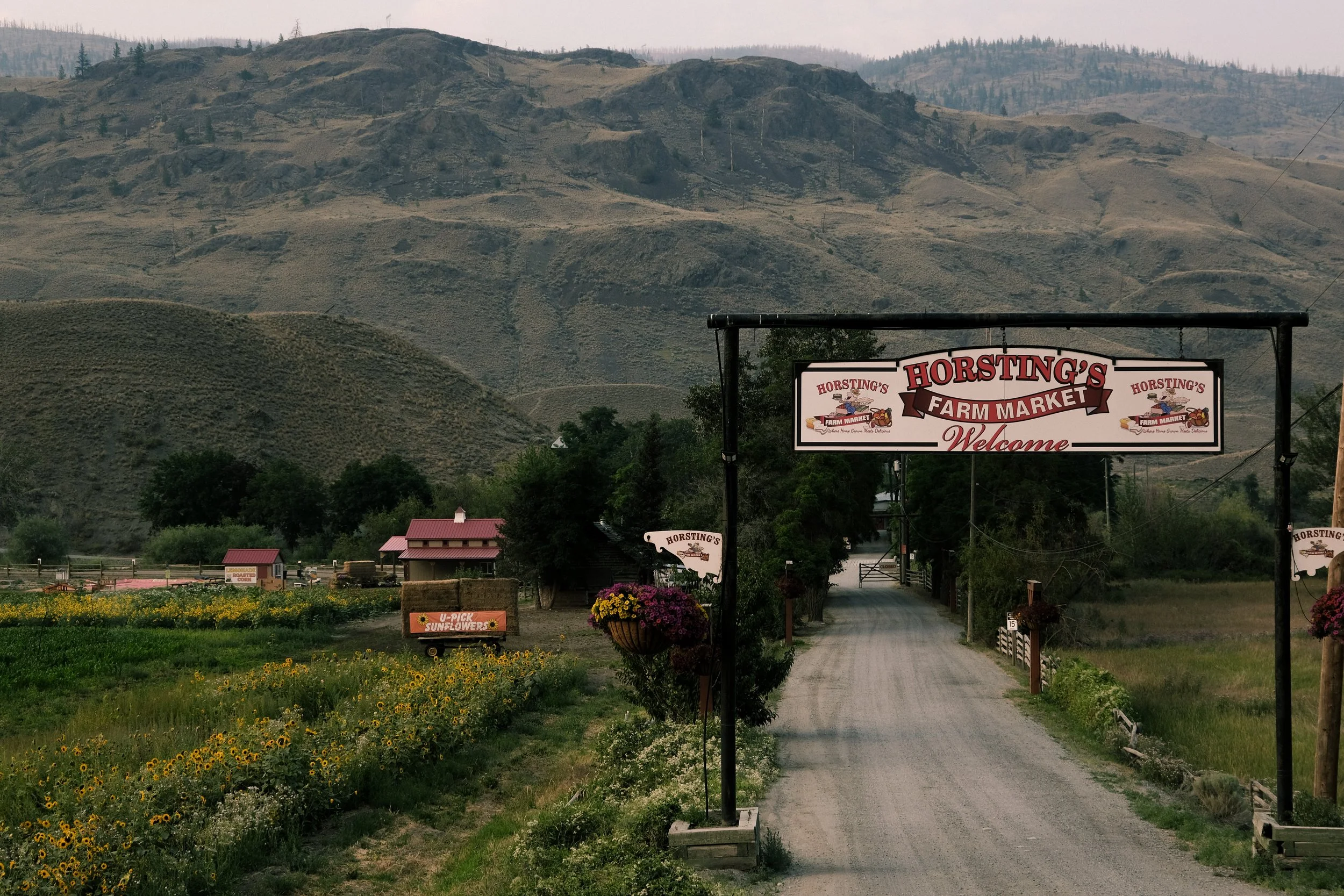 HorstingsFarm-3.jpg