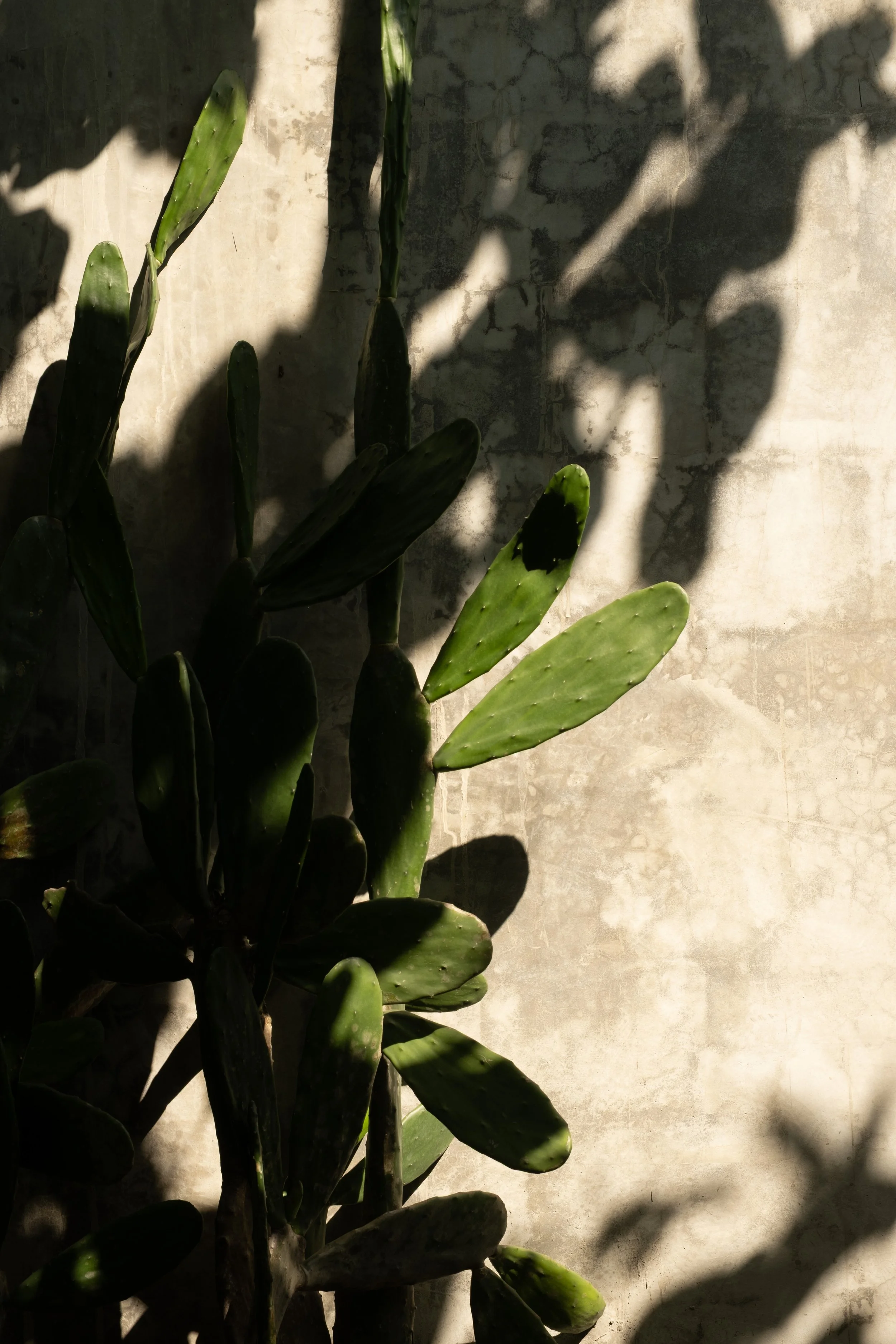 SampleImages-19.jpg