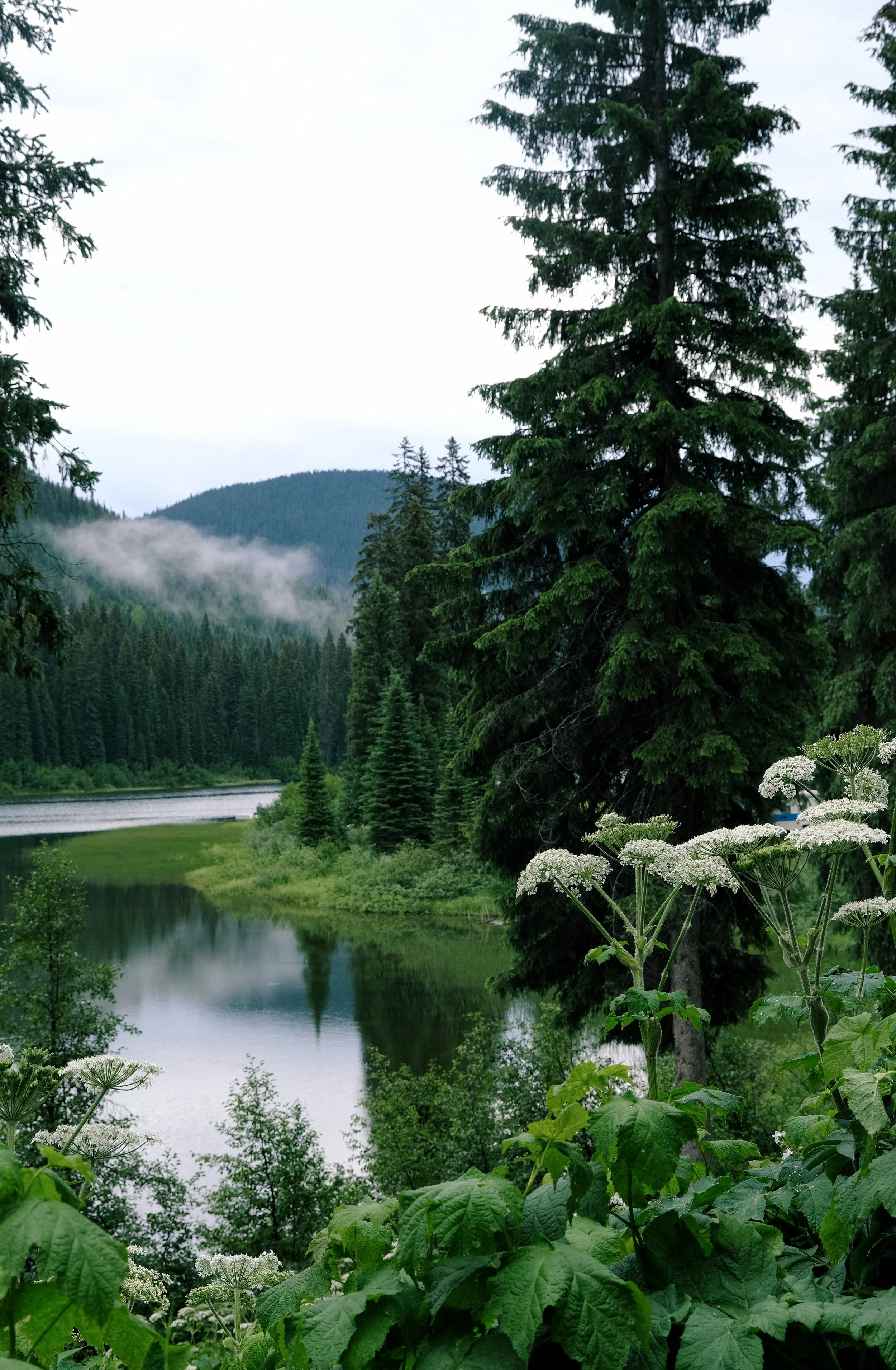Keefer Lake Lodge Alpine Wedding Venue BC Canada