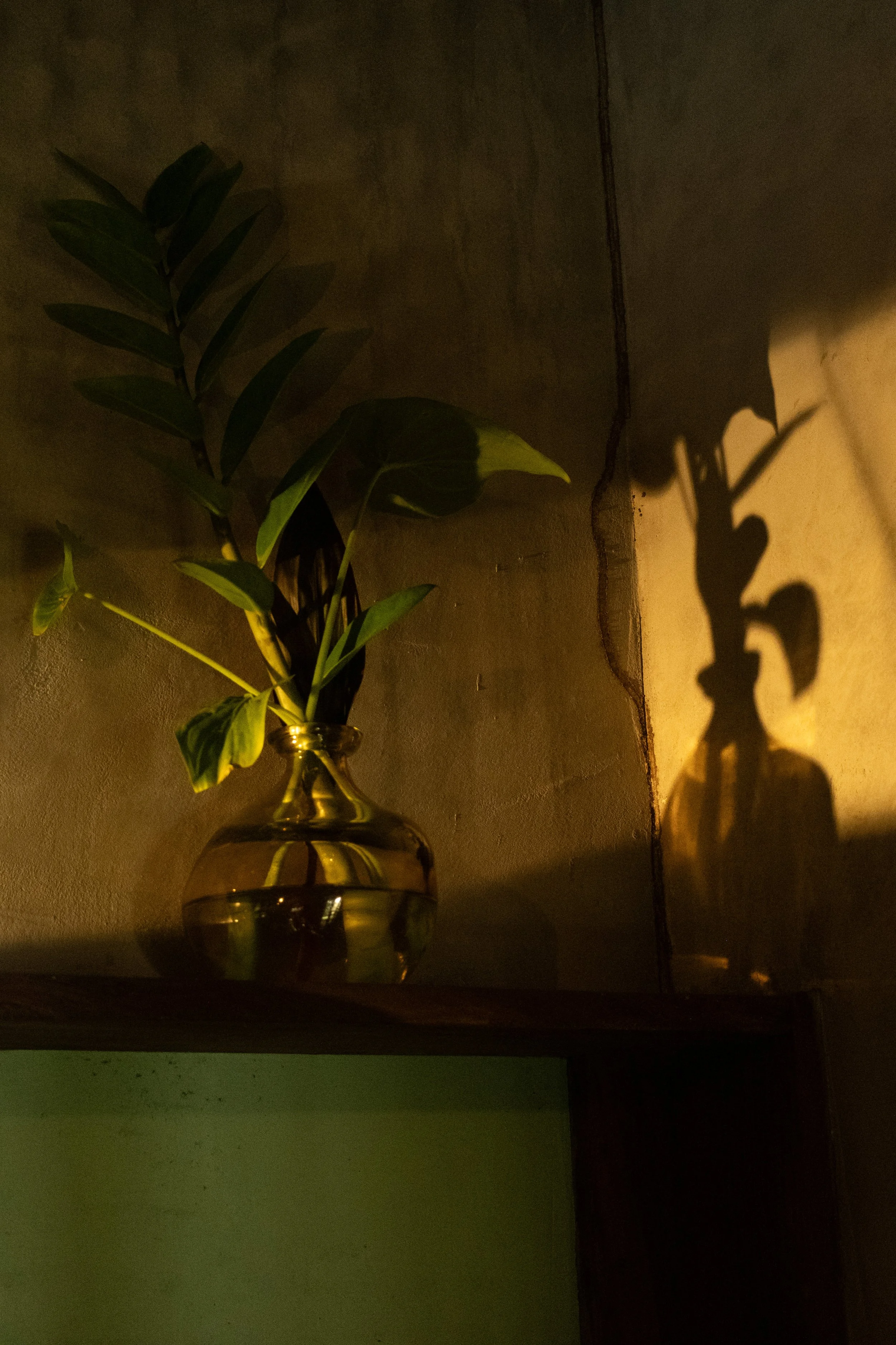 SampleImages-16.jpg