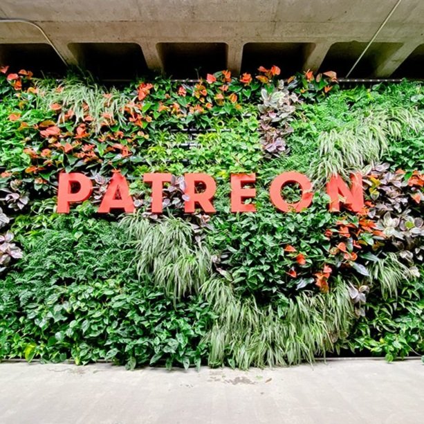 pateron-wide-scaled-1.jpg