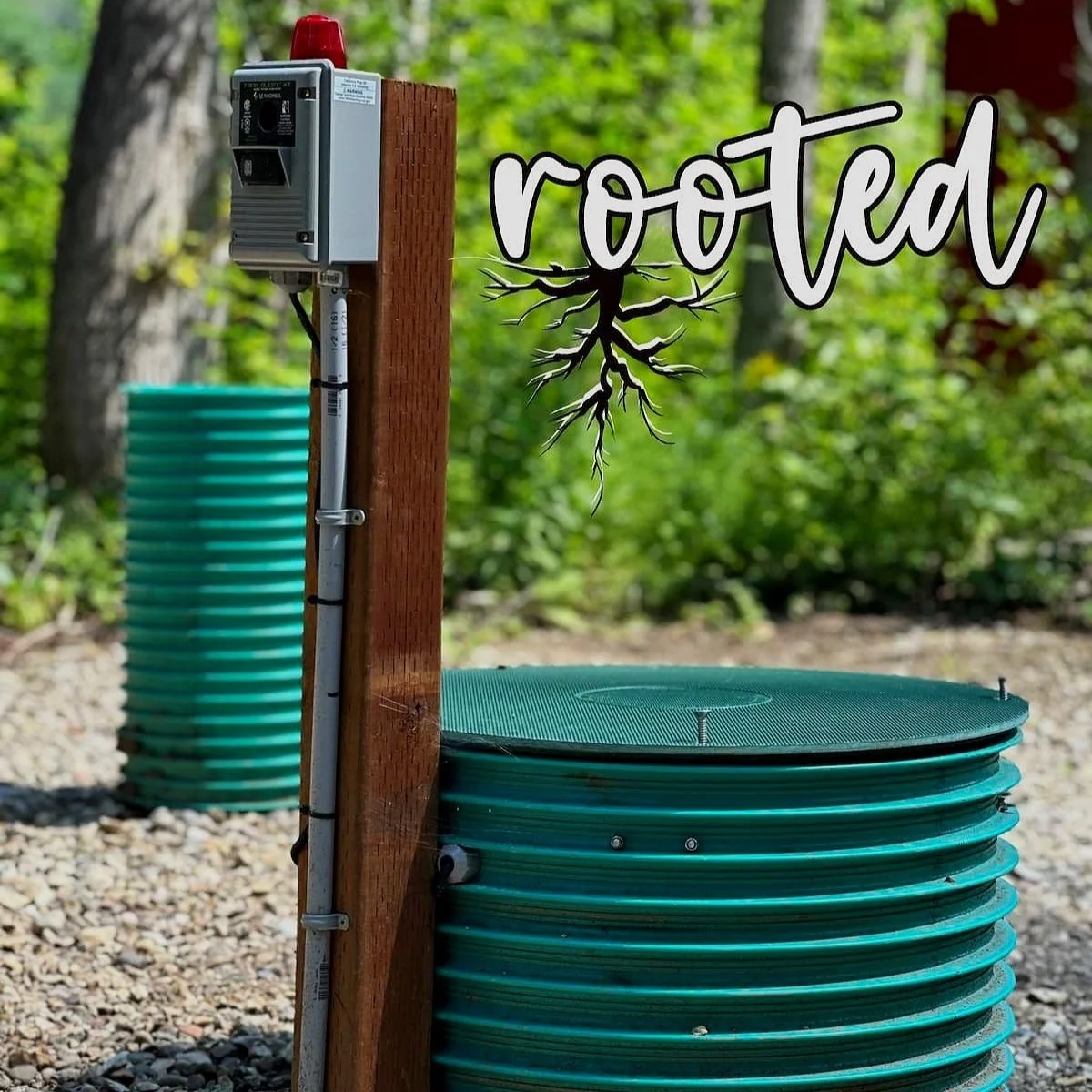 rooted1.jpg