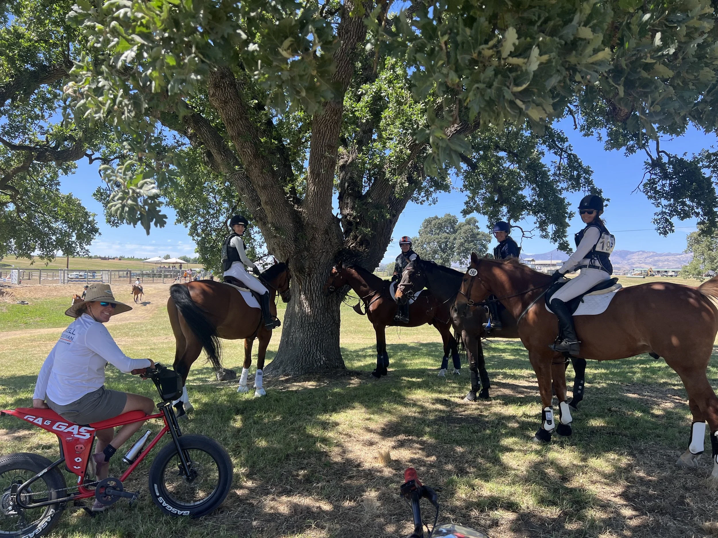 Shepherd Ranch Pony Club Horse Trials II