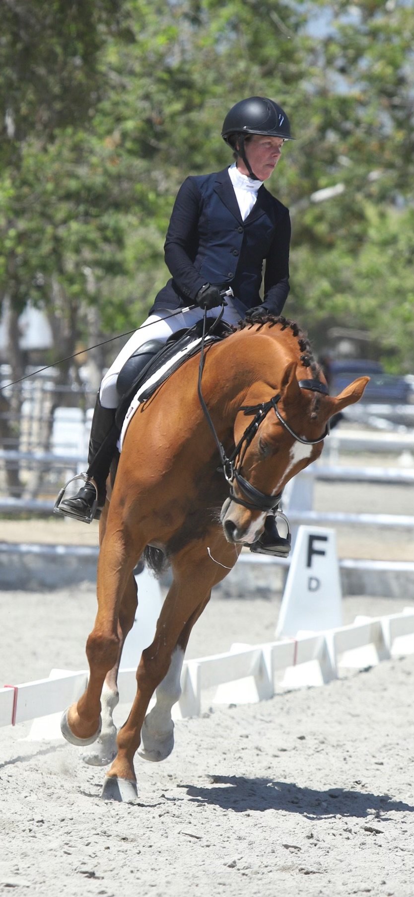 California Dressage Society at SJC