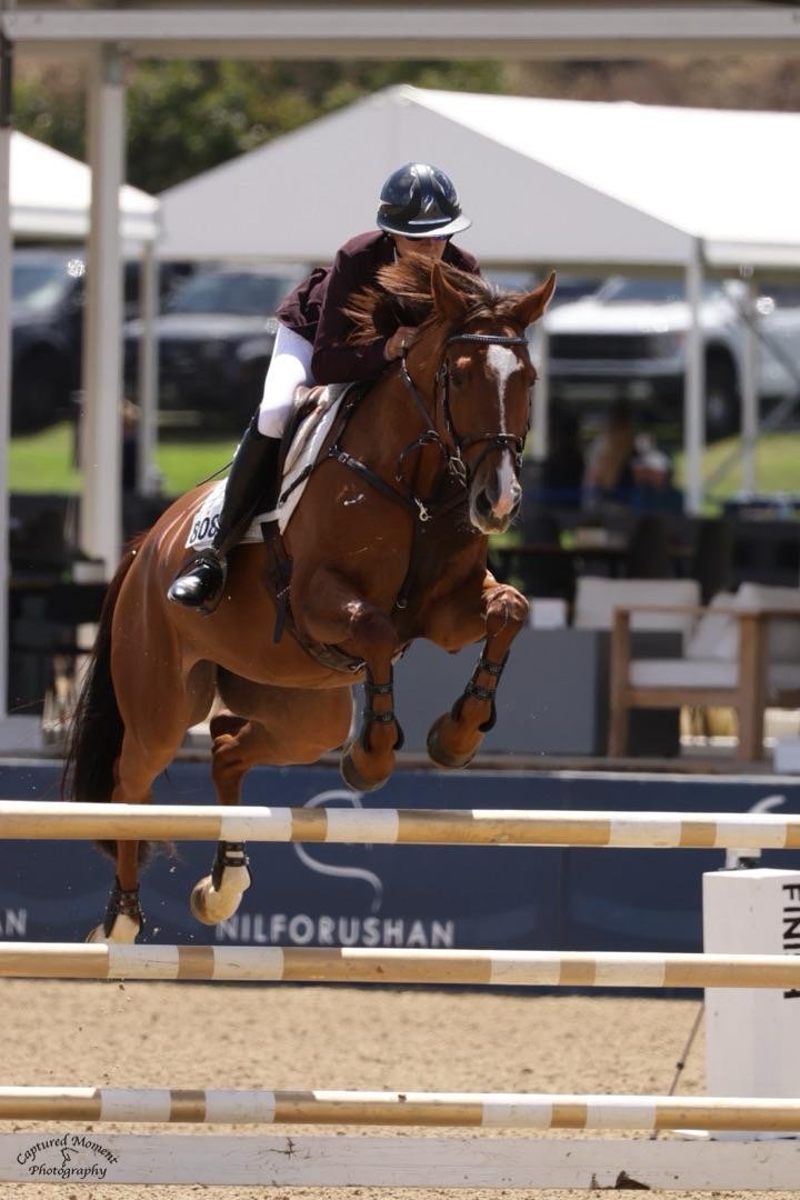 A rider and a horse jumping over a hurdle in an equestrian event, with tents and parked cars in the background.