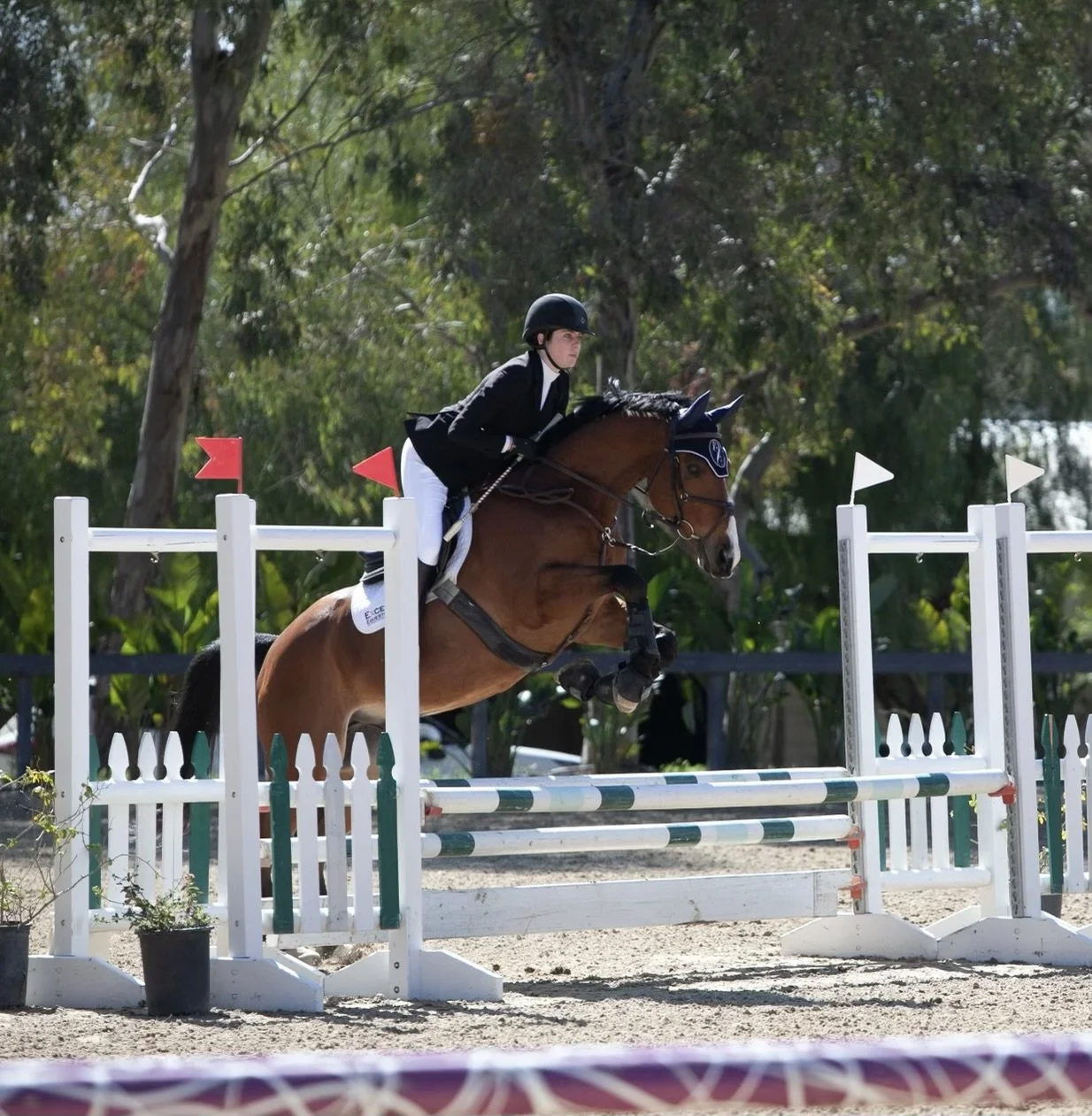 A female equestrian rider in formal riding attire and helmet riding a brown horse over a show jumping obstacle with red flags on top, set outdoors with trees in the background.