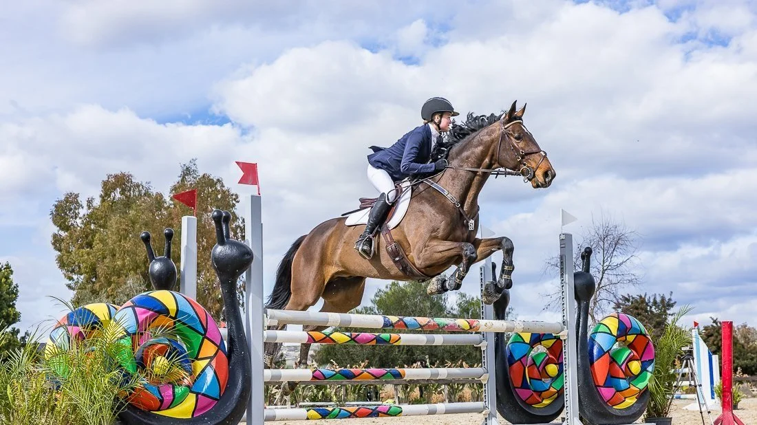 A female equestrian in formal riding attire racing over a colorful obstacle on a brown horse during a show jumping competition.