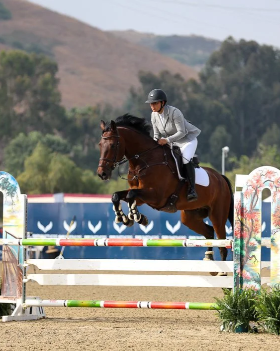 Equestrian rider in white riding jacket and black helmet jumping a brown horse over a colorful obstacle during a show jumping event.