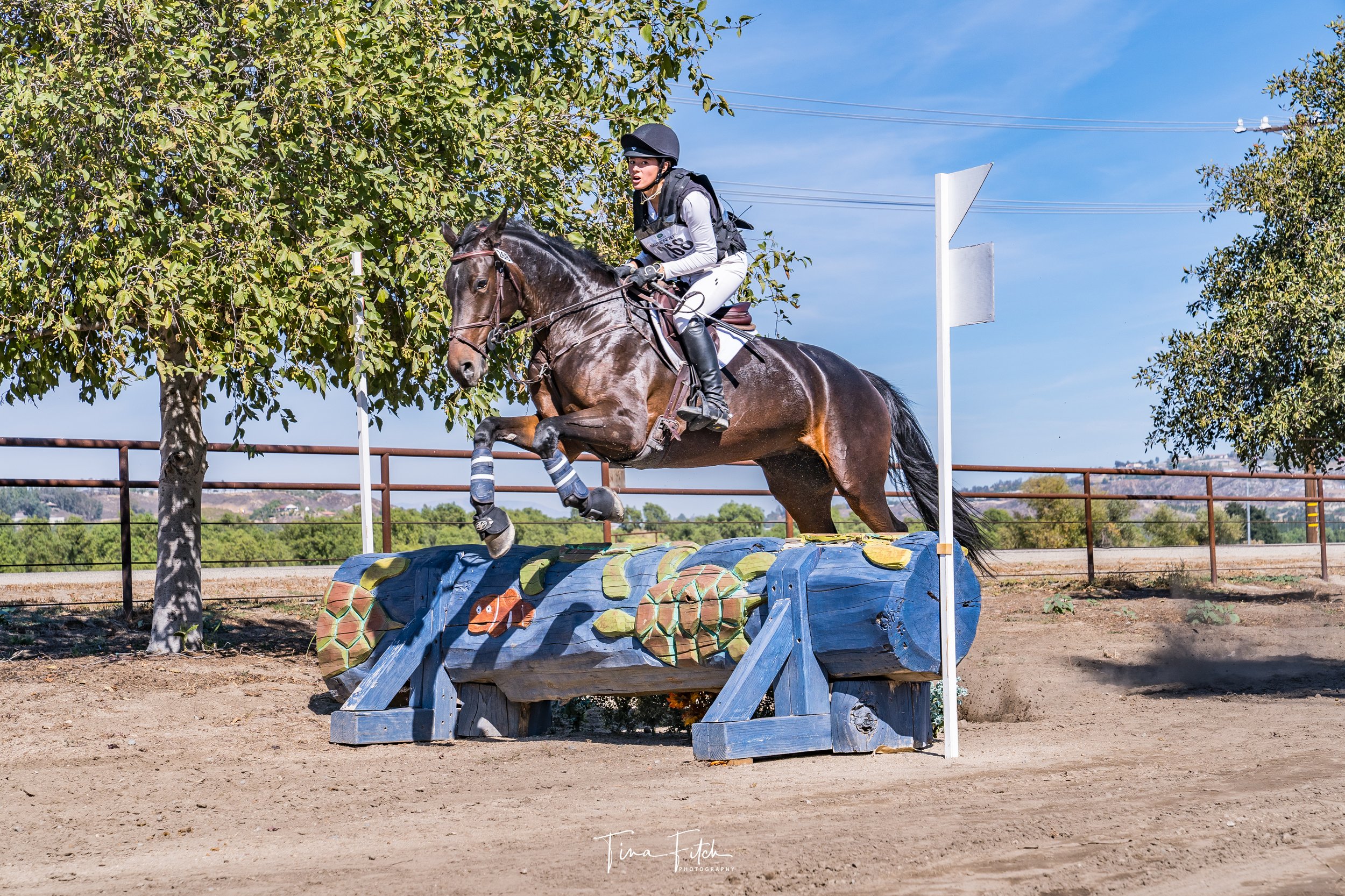 The Eventing Championships at Galway Downs