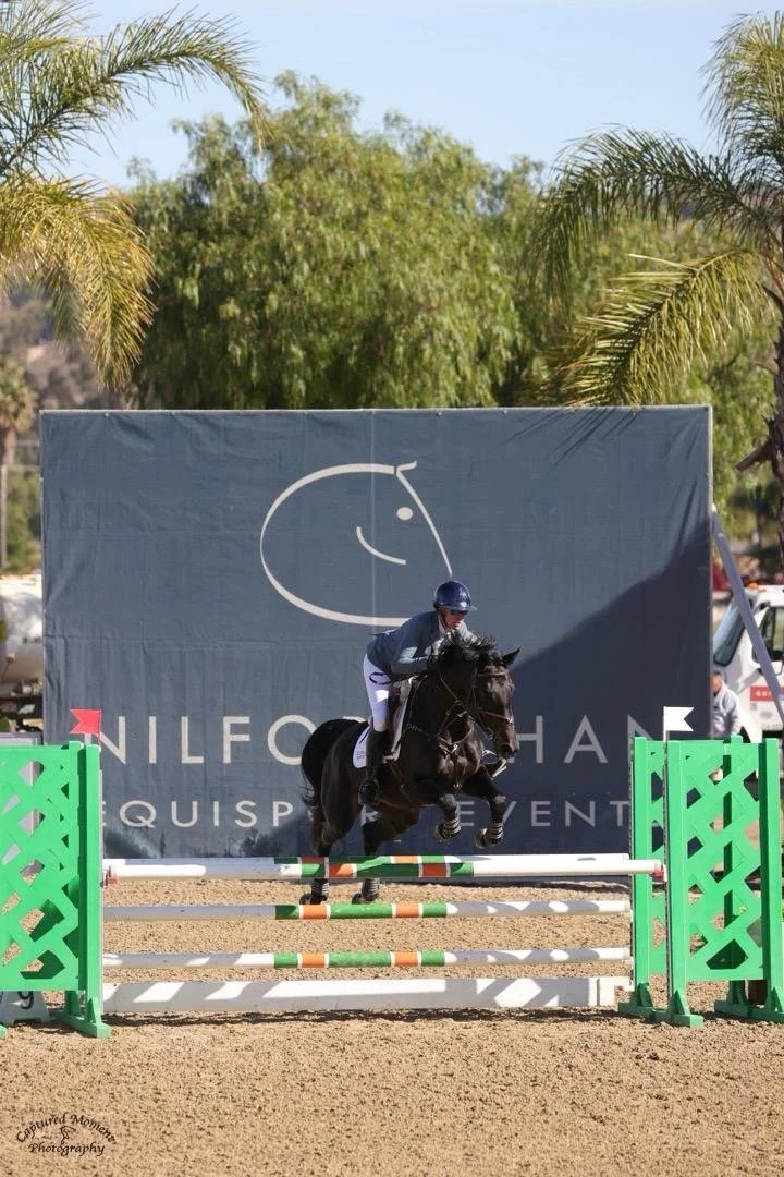 A rider on a black horse jumping over a green and white obstacle during a show jumping event.