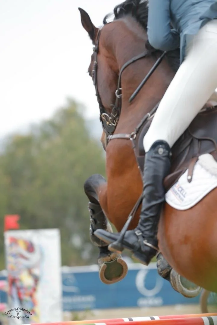 A rider wearing black riding boots and a blue jacket riding a brown horse during an equestrian event, with a blurred background of trees and colorful signs.
