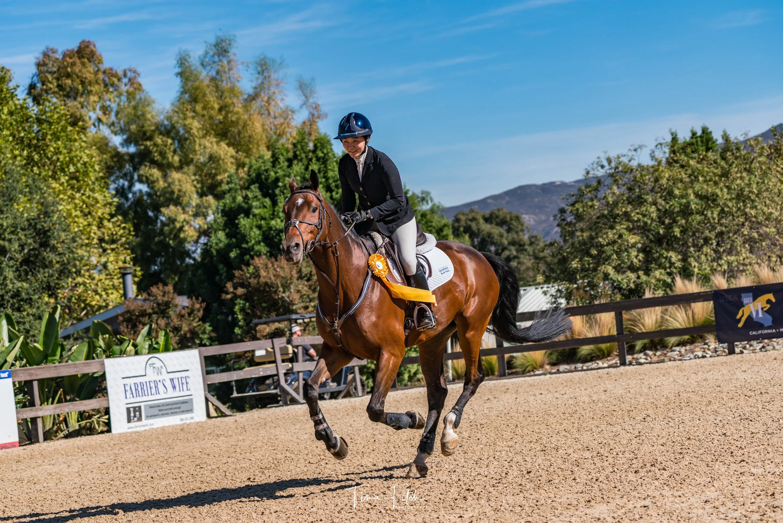 A person riding a horse in an outdoor arena during a competition. The rider is wearing a black riding jacket, white breeches, and a black helmet. The horse is brown with a white star on its forehead and is equipped with a saddle, bridle, and decorati