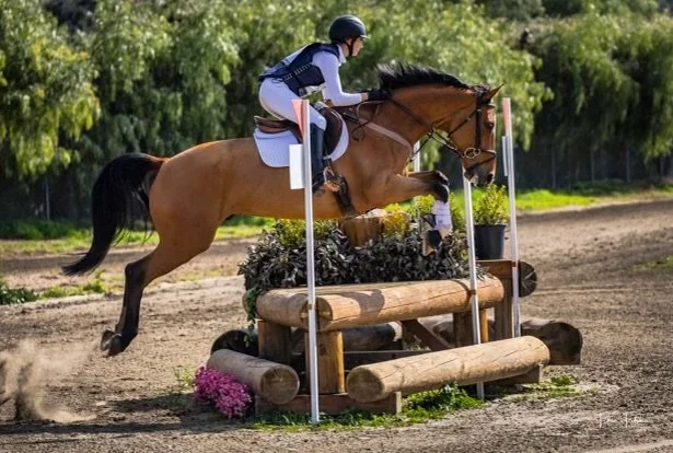 A person wearing a helmet and riding gear on a horse, jumping over a wooden obstacle in an equestrian event outdoors.