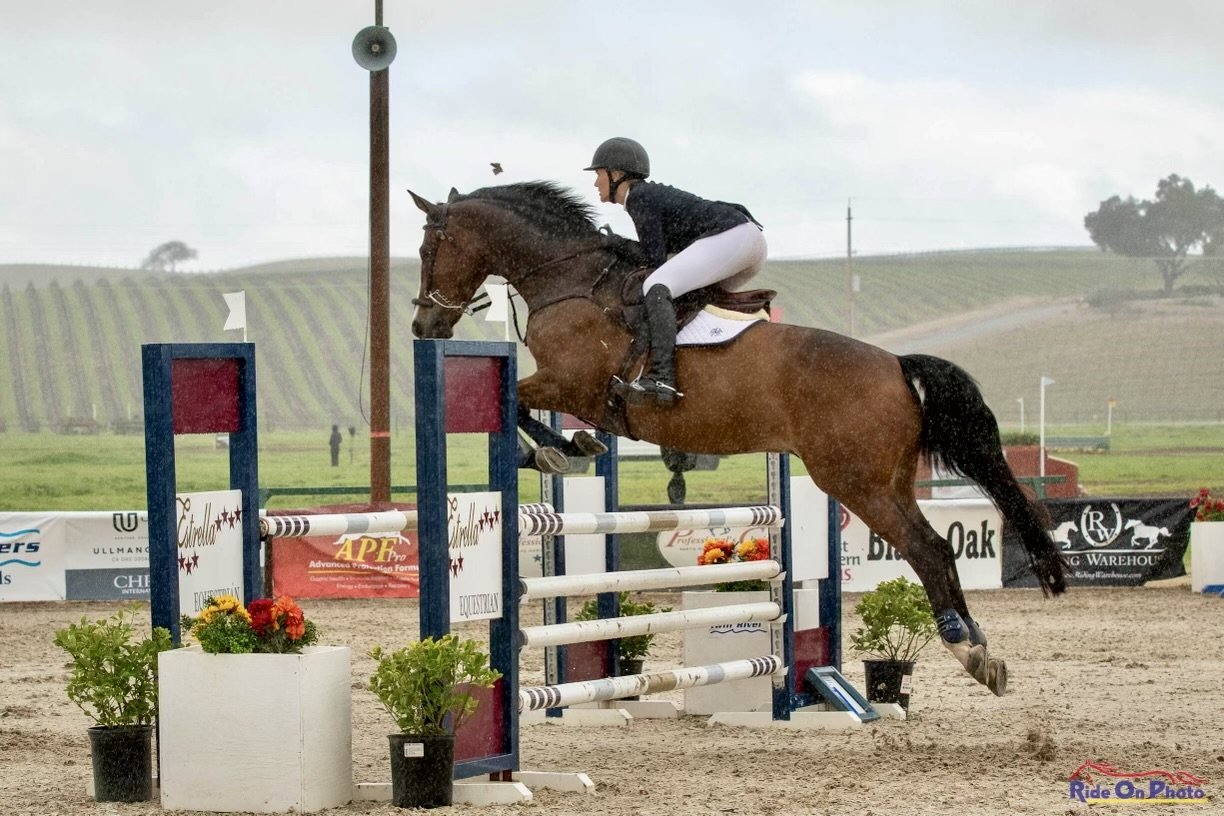 A rider and horse jumping over a show jumping obstacle in an outdoor equestrian competition. The rider is wearing a helmet, black jacket, white breeches, and black riding boots.