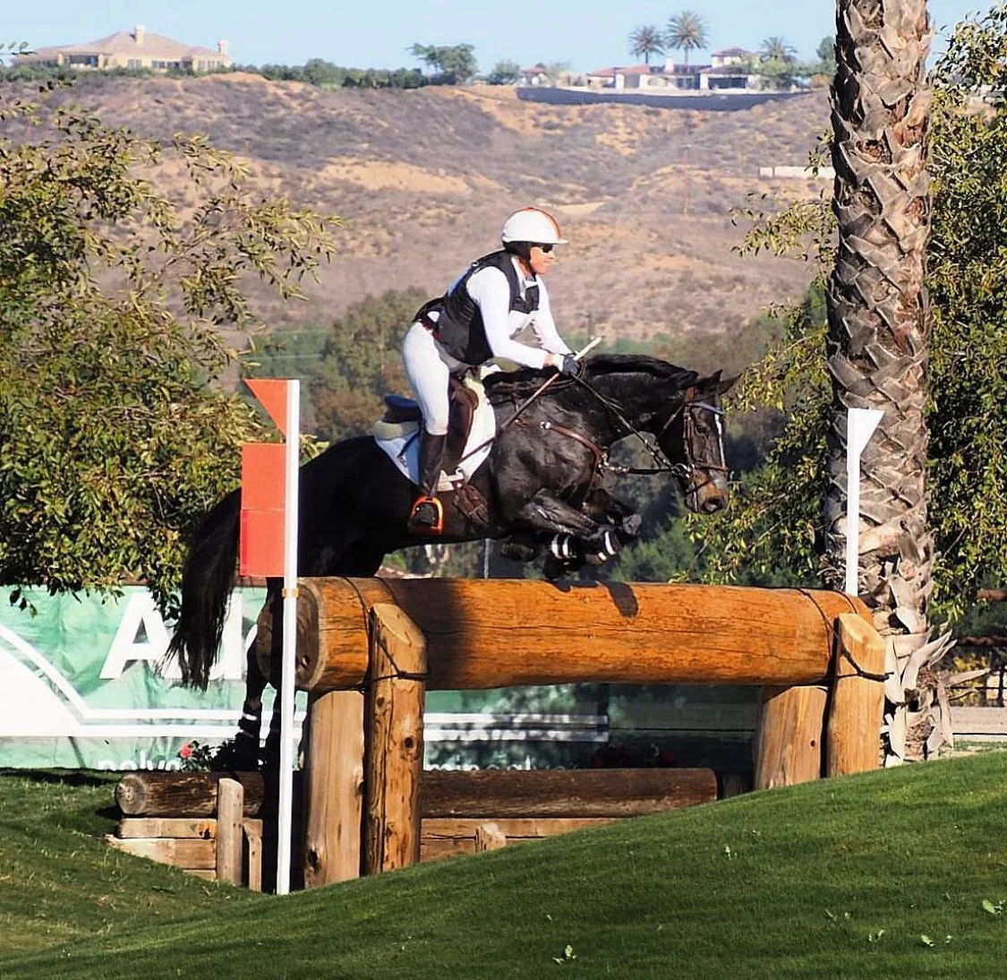 A person riding a horse and jumping over an obstacle in a cross-country equestrian event, surrounded by trees and hills.