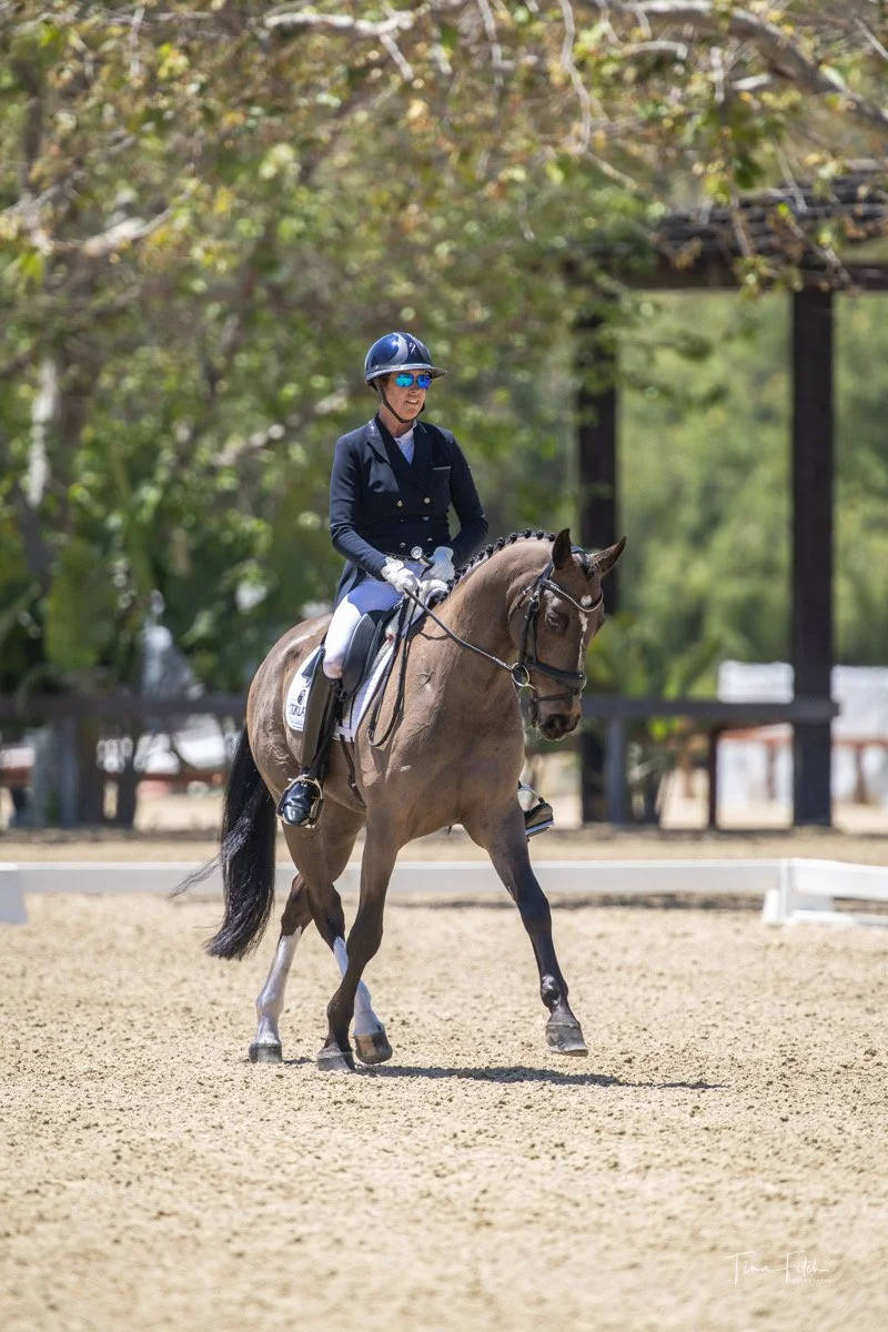 Desert Dressage III and CDI at Thermal
