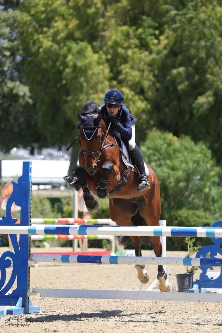 A rider in a navy jacket, white pants, and a black helmet jumps over a colorful obstacle on a brown horse during an equestrian show jumping competition, with green trees in the background.