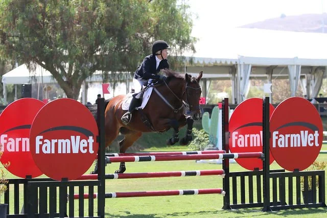 Horse and rider jumping over a red and white show jump obstacle with FarmVet logos at an outdoor equestrian event.