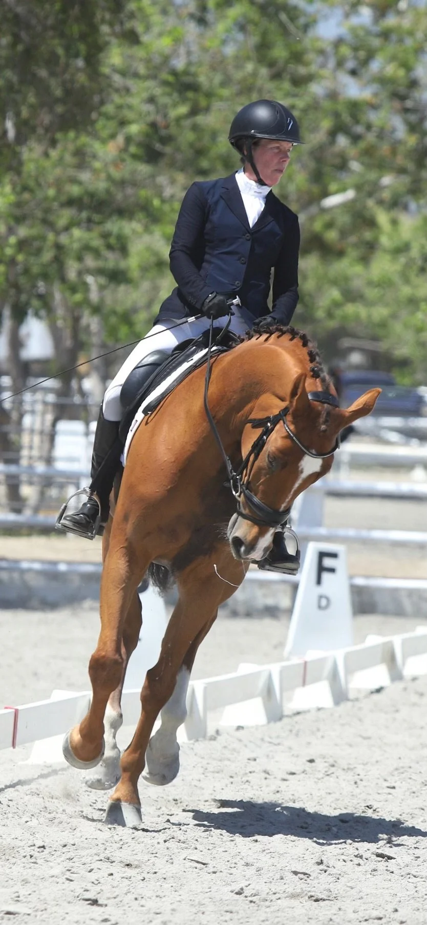 A woman riding a brown horse during a dressage event, wearing a helmet, black riding jacket, white shirt, and gloves, with a background of equestrian arena and greenery.