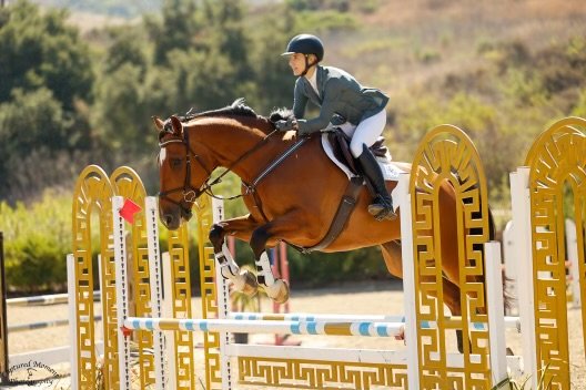 Equestrian rider in a helmet and jacket jumping a brown horse over a colorful hurdle during a show jumping competition.