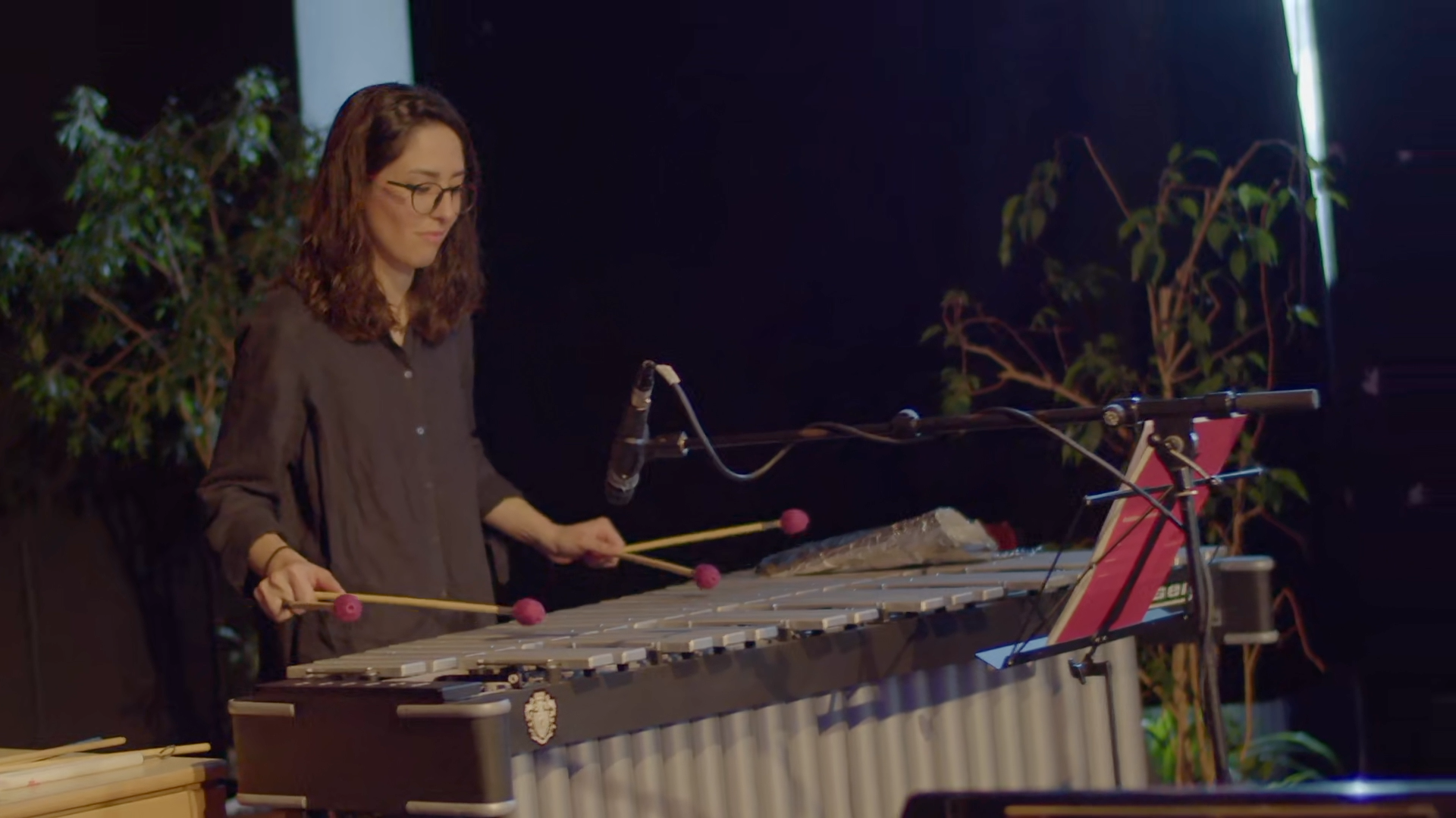 Donavazi Concert Pic 1.png