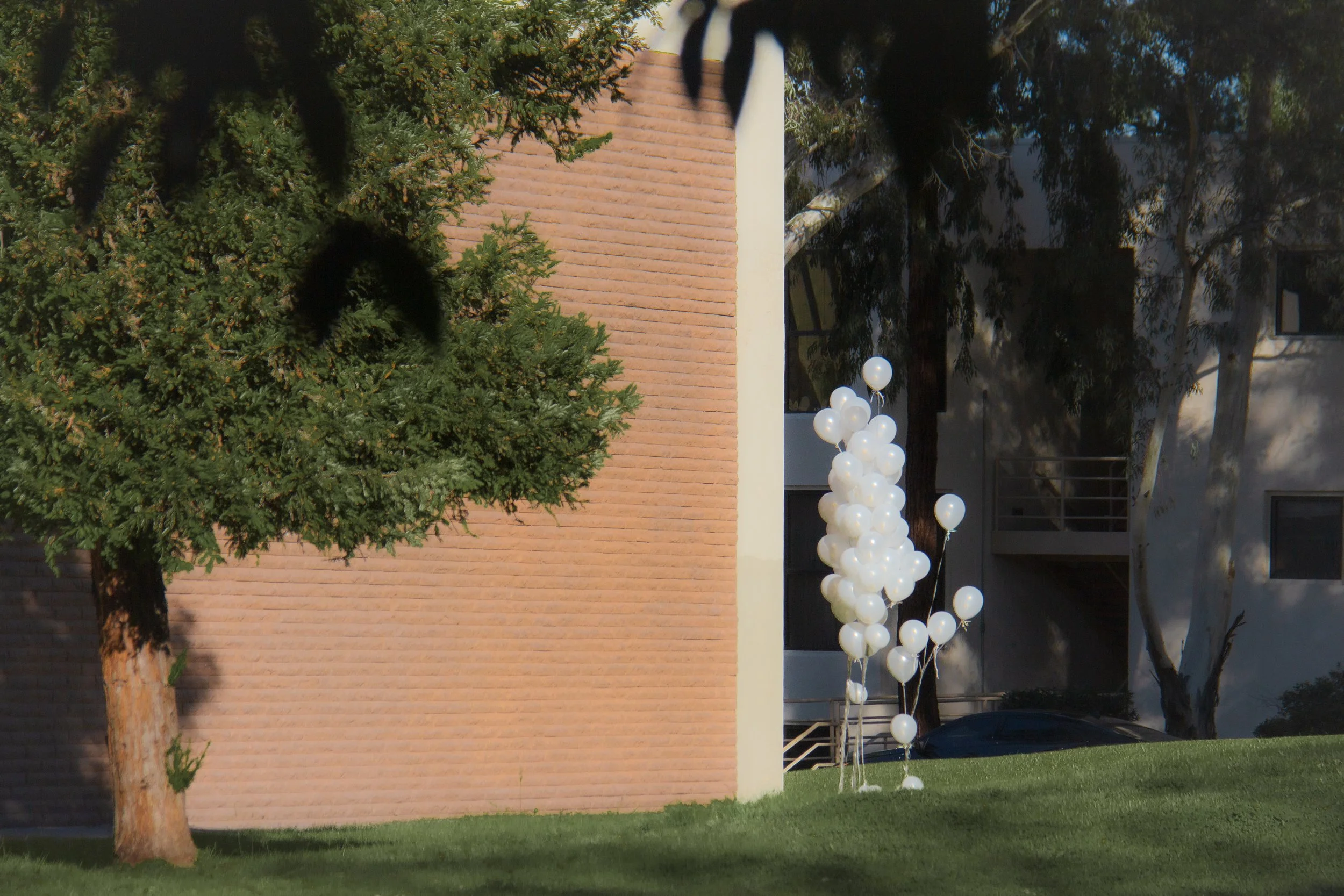 9*9 Delight Balloons 