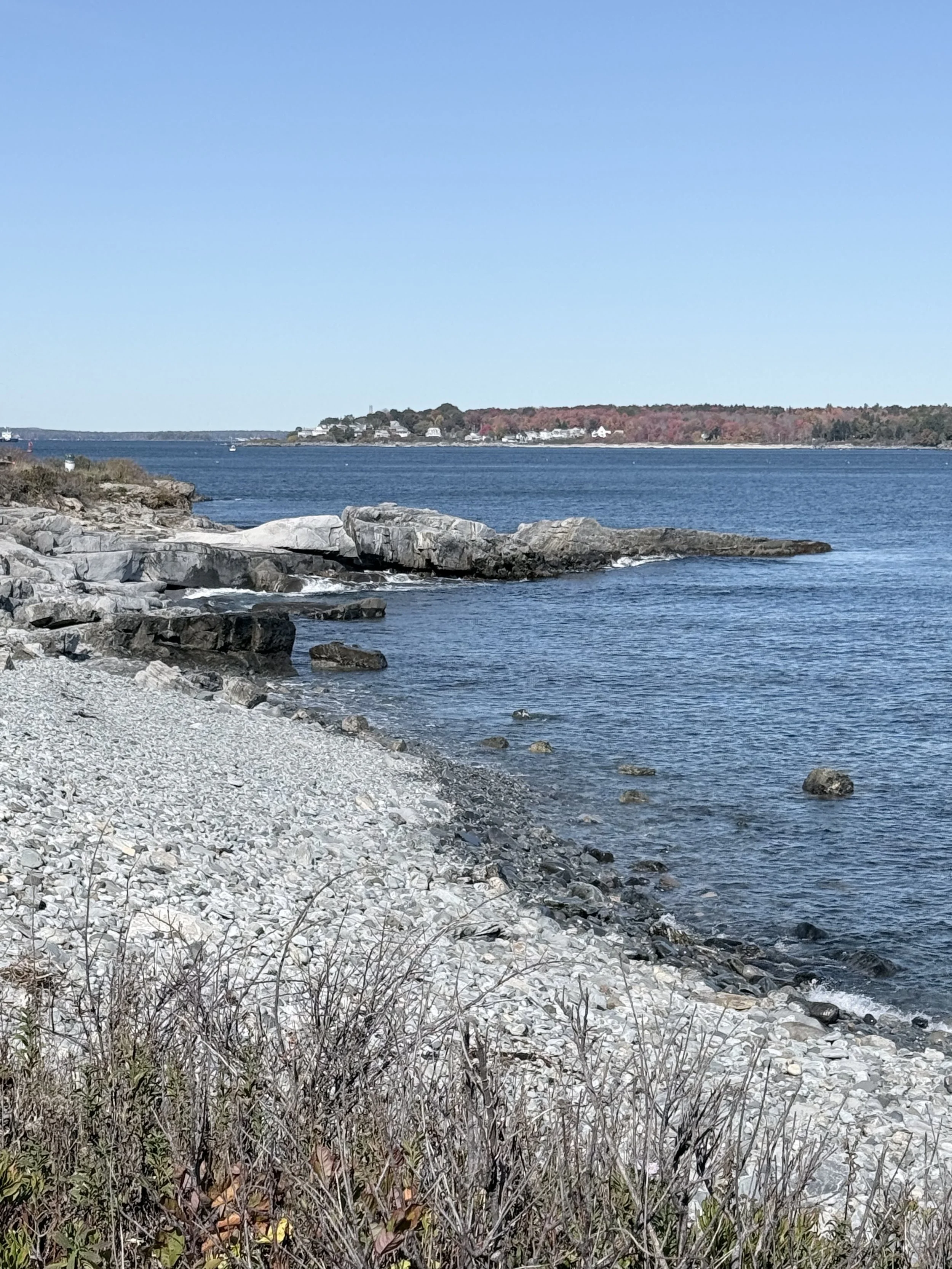 Whaleback Rock