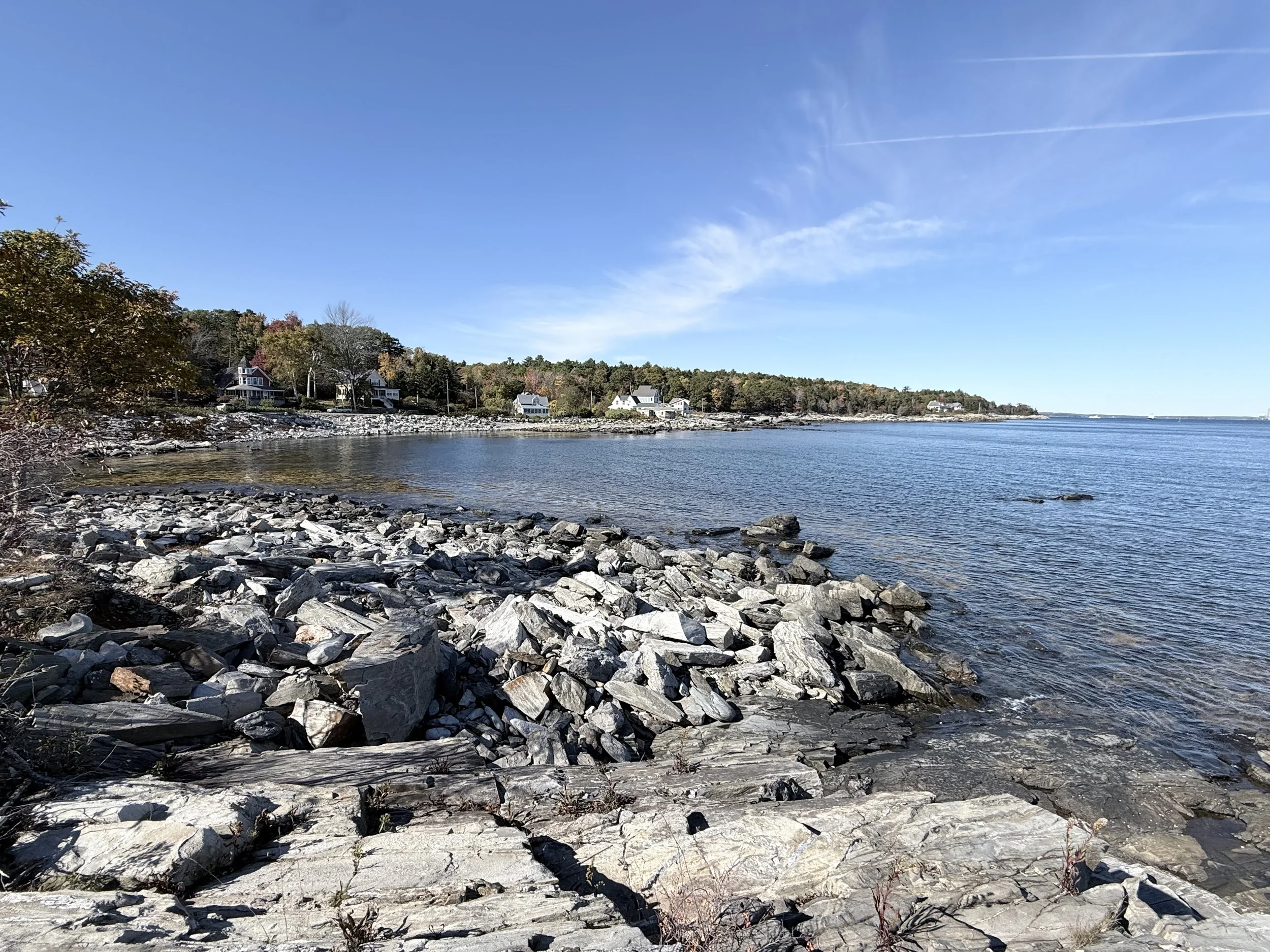 The backshore is a rocky Maine beach the encompasses the eastern and southern part of the island.
