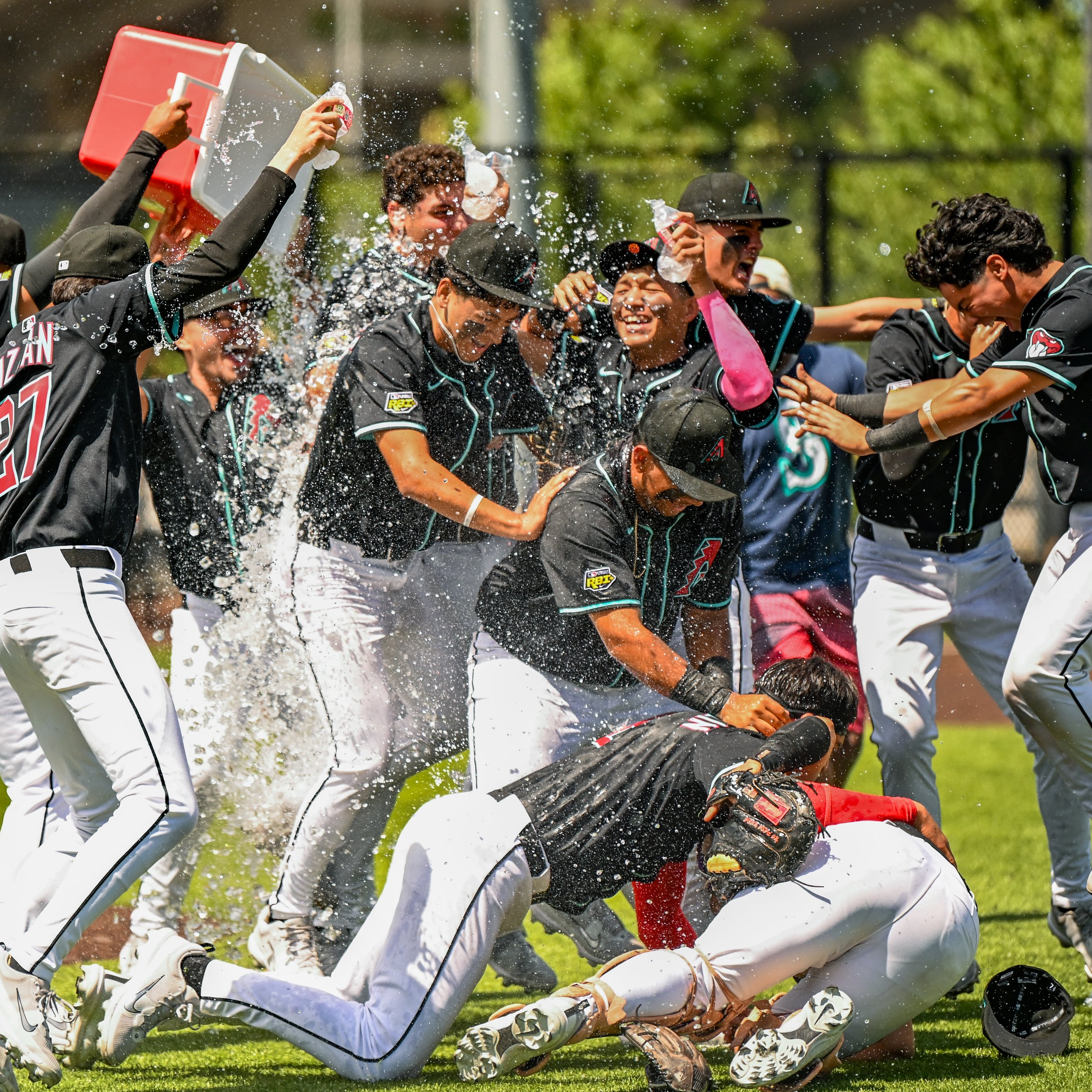 Arizona Diamondback RBI Baseball Team Celebrating win in Seattle