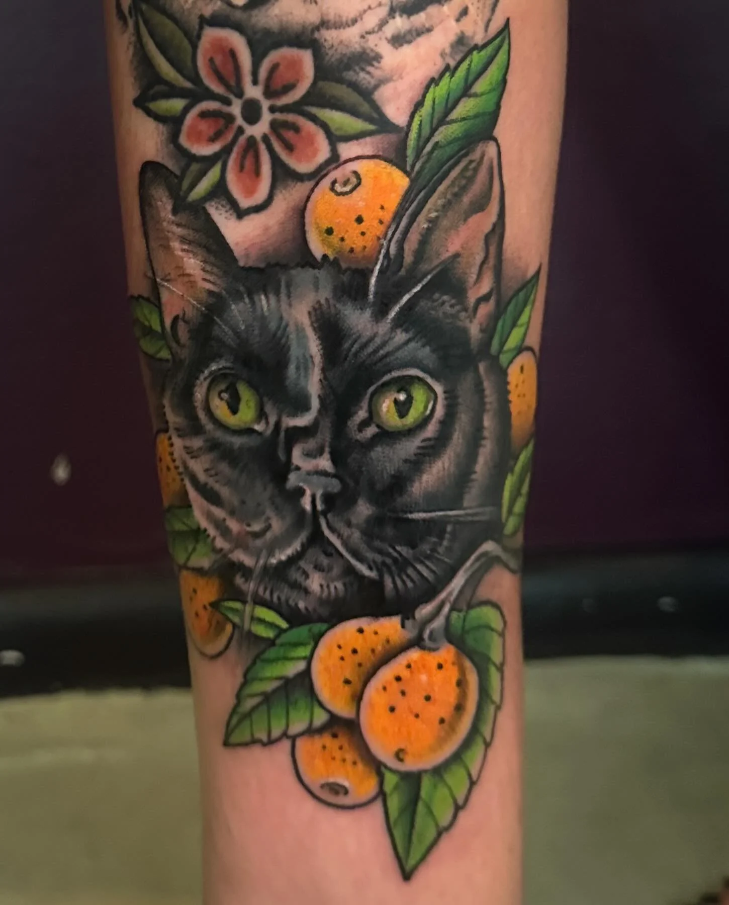 &ldquo;He was only a cat but he was human enough to be a great comfort in hours of loneliness and pain&rdquo;

Sweet Tonto with loquats for my girl Jessica under her healed baby Kaser. I&rsquo;ve never heard of cats who loved water and candy, what we