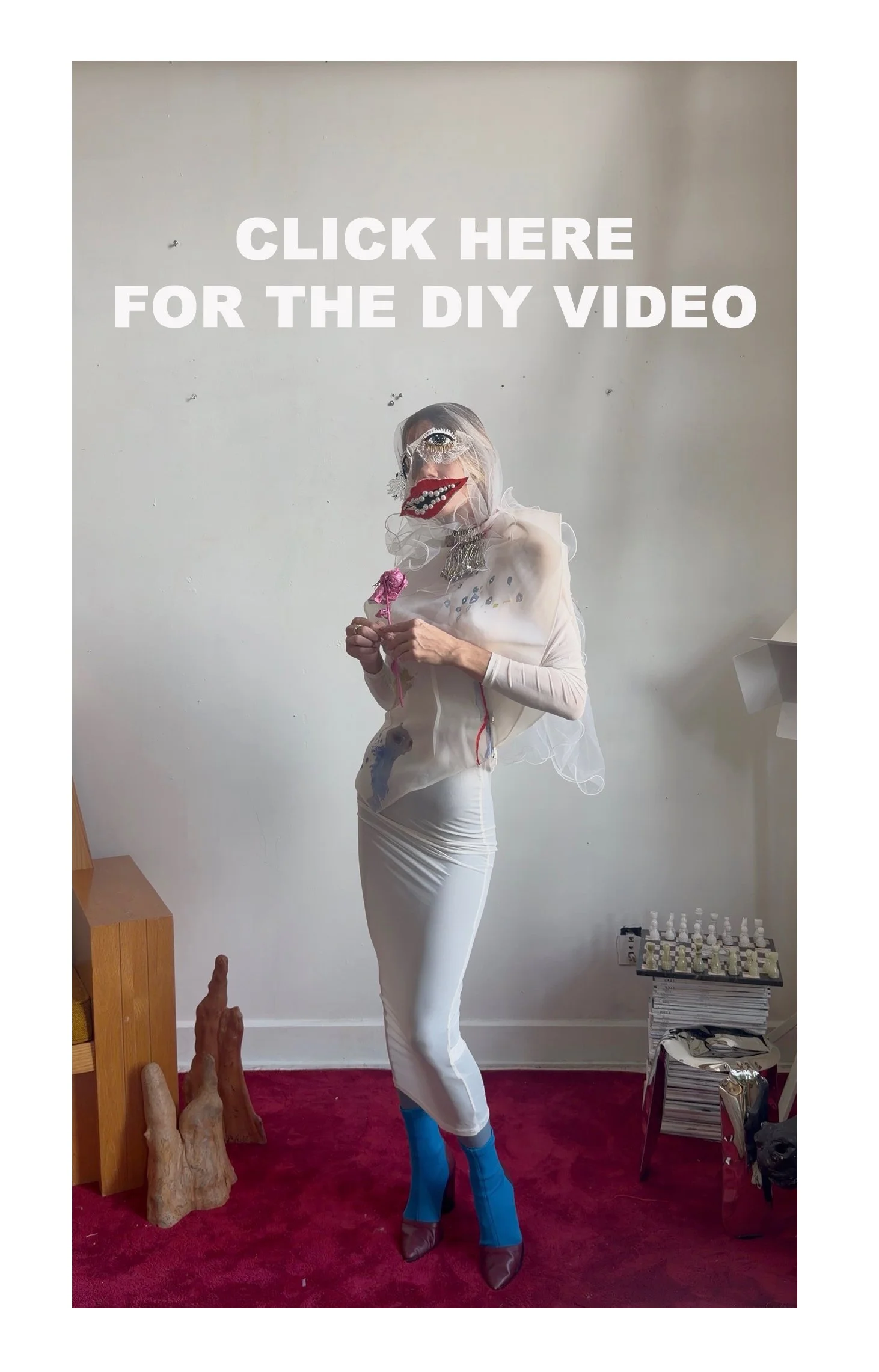 DIYZ VIDEO CLICK Phoo.jpg