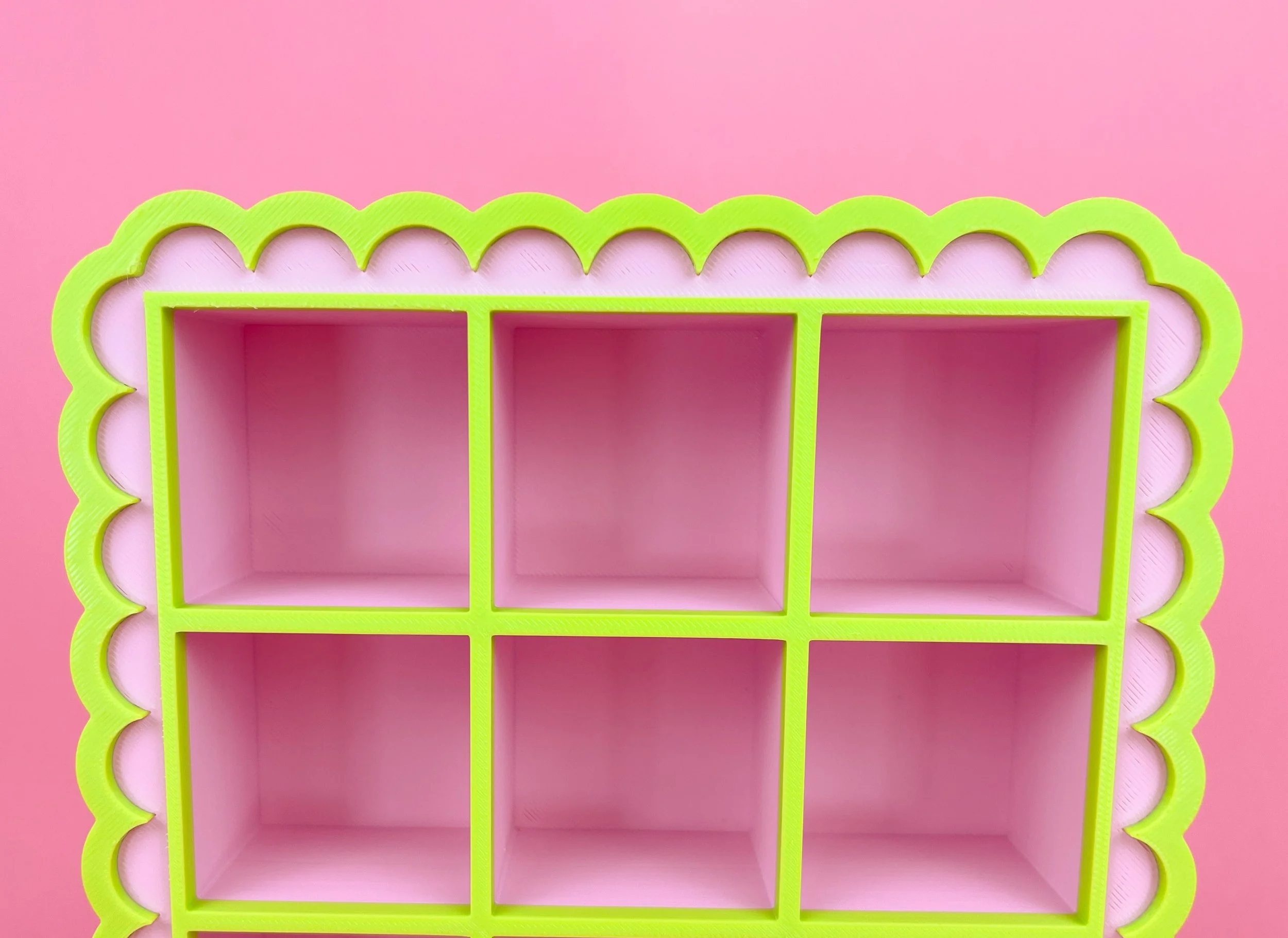 pinkgreenshelves_0017_IMG_3057.jpg