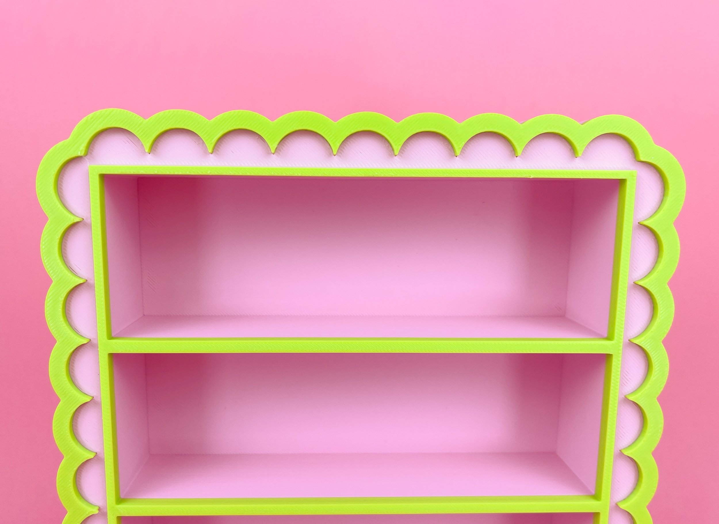 pinkgreenshelves_0010_IMG_3053.jpg